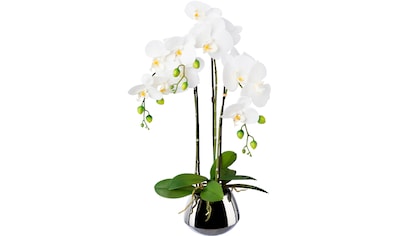 Creativ green Kunstorchidee »Phalaenopsis«, (1 St.), im Keramikschiff  bestellen online bei OTTO