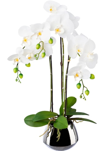 Kunstorchidee »Phalaenopsis im Silbertopf«