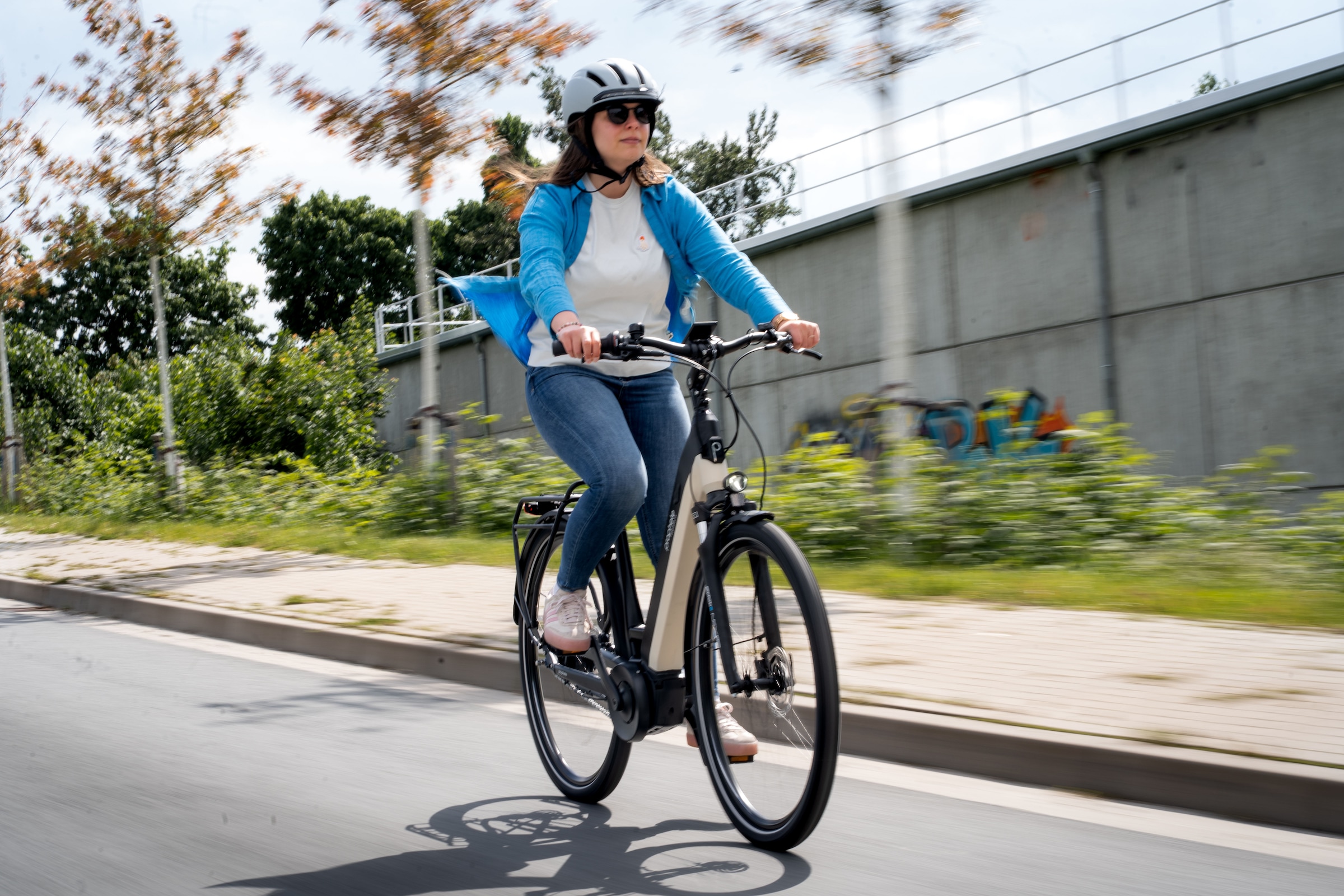 Prophete »Geniesser 4.8« 7 Gang Shimano Nexus Schaltwerk Nabenschaltung Mittelmotor 250 W Pedelec, 10 Jahre Garantie auf den Rahmen