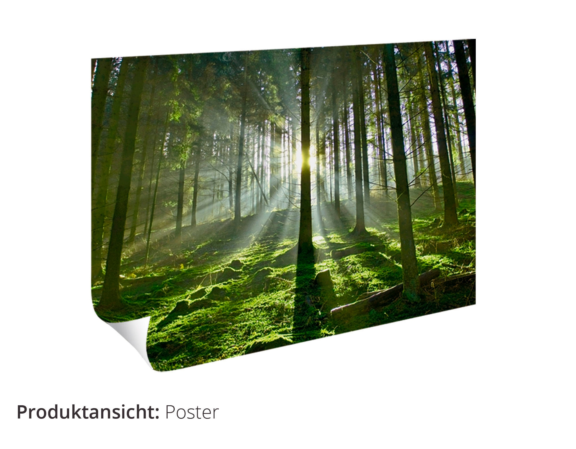 Poster Strand«, & -untergang, Sonnenaufgang St.), OTTO bei in verschied. kaufen (1 Wandbild Artland am Leinwandbild, »Sonnenuntergang Größen als