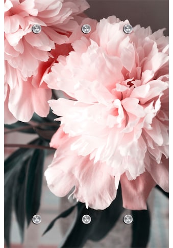queence Garderobenleiste »Blume« kaufen