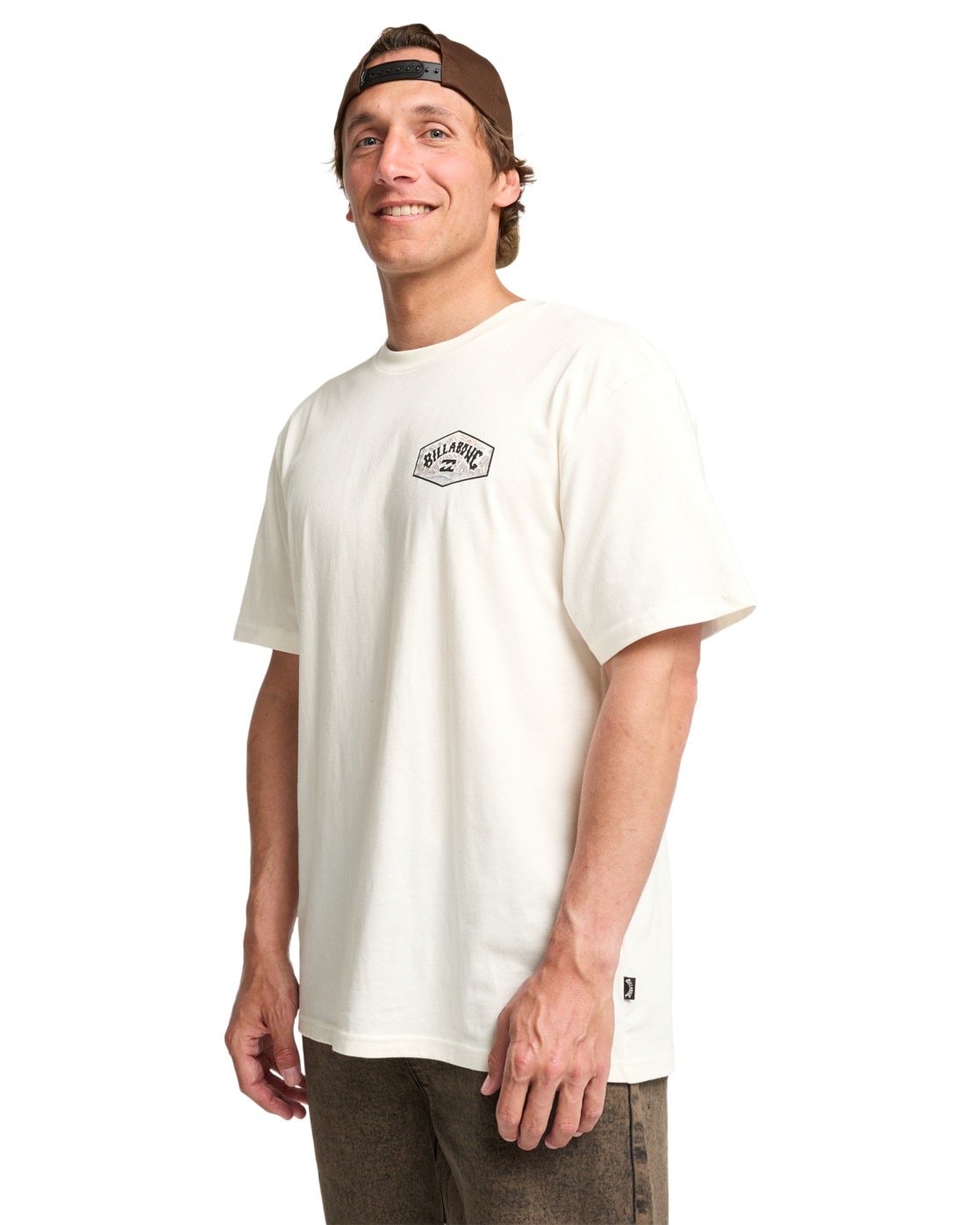 Billabong T-Shirt »Scenic Arch A/DIV Premium«