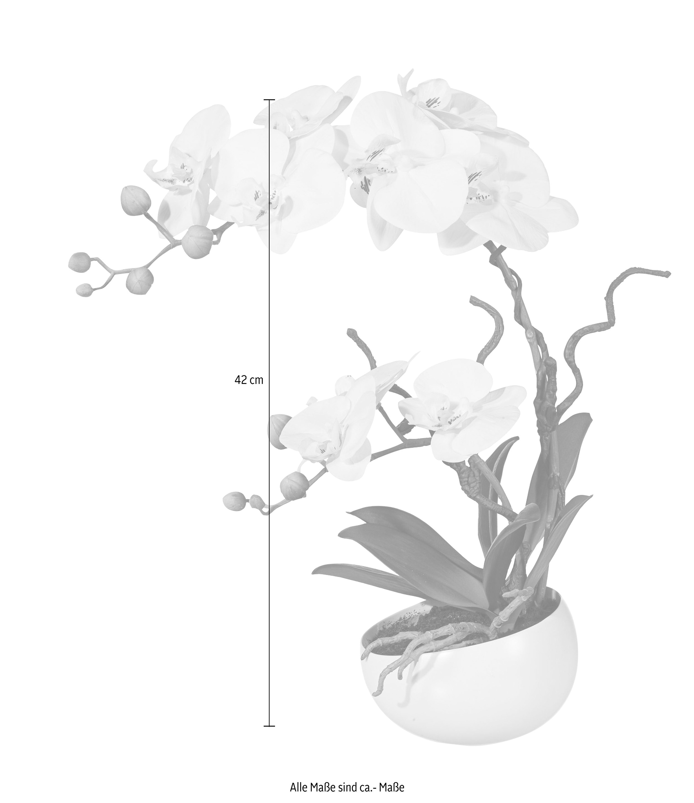 Creativ green Kunstpflanze »Orchidee«