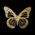 Leonique Acrylglasbild »Schmetterling«