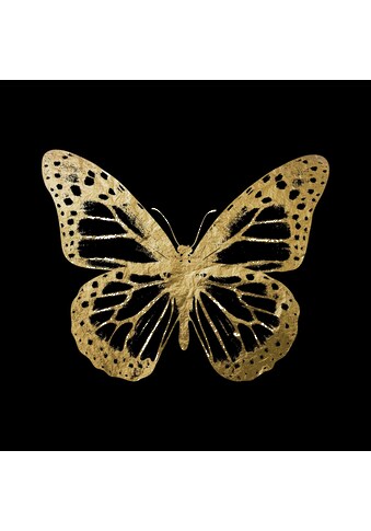 Leonique Acrylglasbild »Schmetterling« kaufen