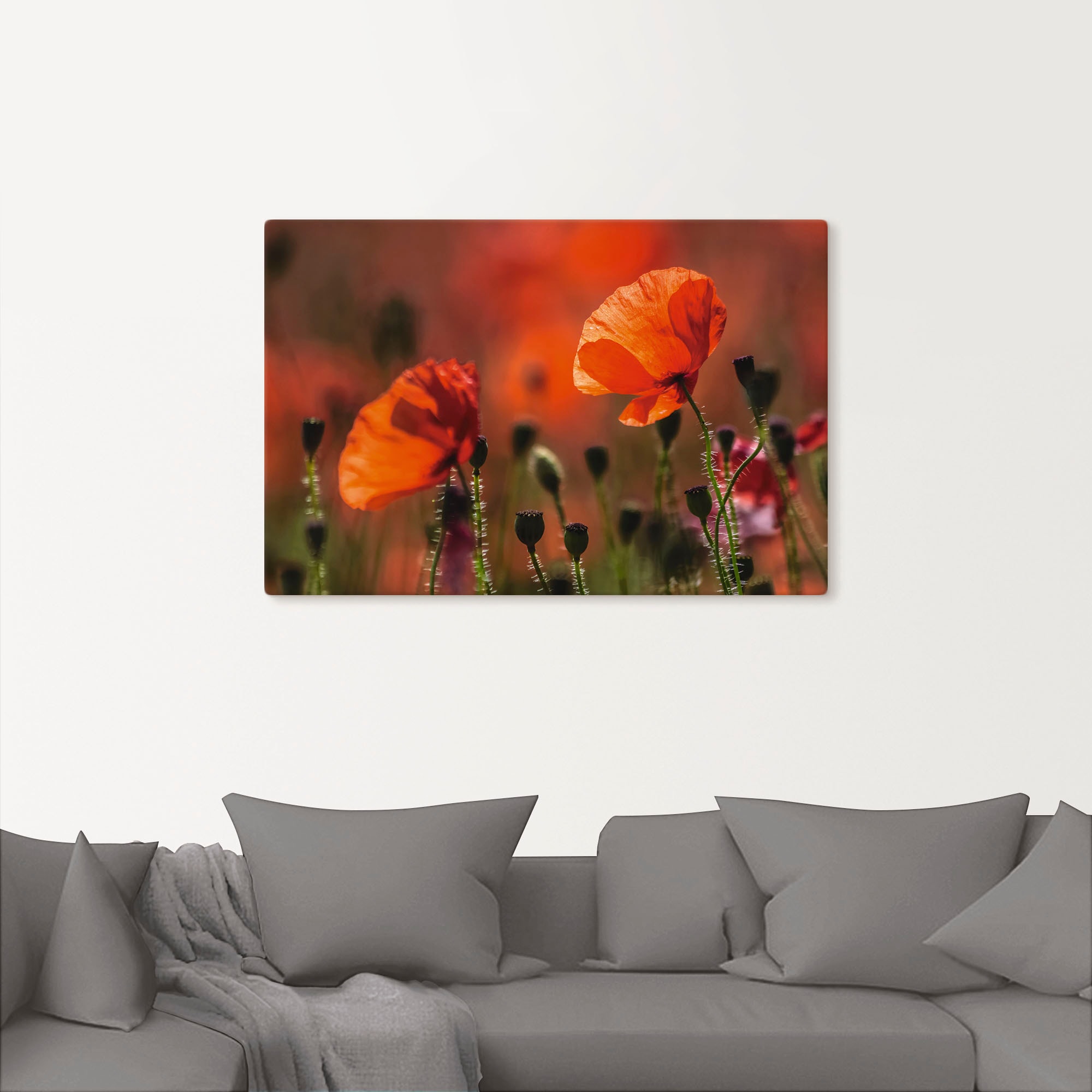 Artland Wandbild (1 in oder Alubild, der Mohnblumen Blumenbilder, St.), Größen Leinwandbild, Provence«, online Poster OTTO bei versch. »Rote in als Wandaufkleber