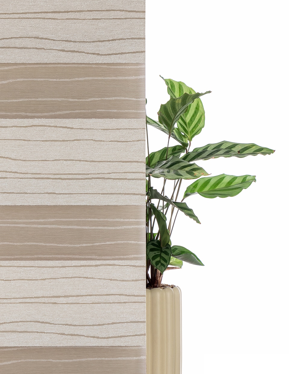 my home Doppelrollo »PAGELLA«, Lichtschutz, Blendschutz-Sichtschutz-Verdunkelung, ohne Bohren, freihängend, mit eingewebten Chenillefäden NEUHEIT!