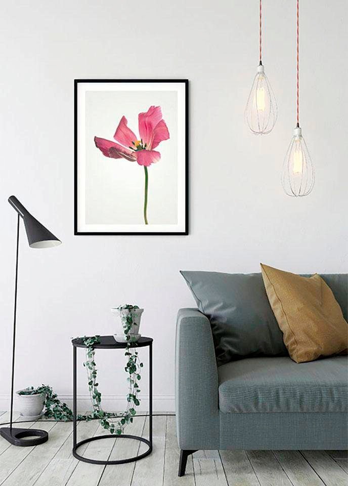Komar Poster »Tulip«, Blumen, (1 St.), Kinderzimmer, Schlafzimmer,  Wohnzimmer bestellen bei OTTO
