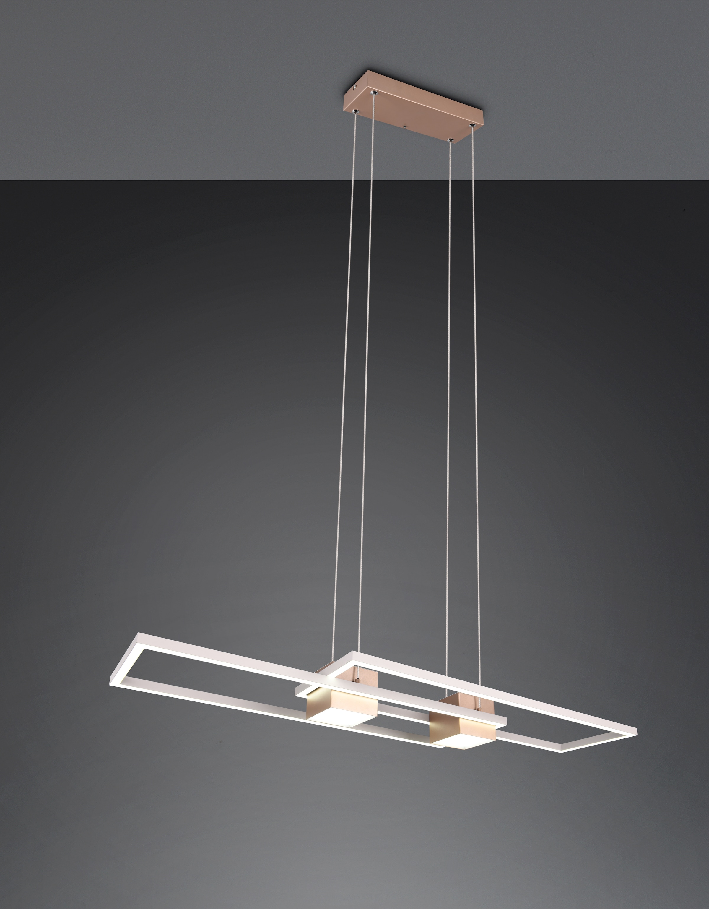 TRIO Leuchten LED Pendelleuchte »ALBANY, LED Hängelampe Wohnzimmer mit Fernbedienung, dimmbar, CCT« LED-Board 1 Stk. warmweiß - kaltweiß Lichtfarbe einstellbar, Memoryfunktion, Nachtlicht, up-and-down Licht