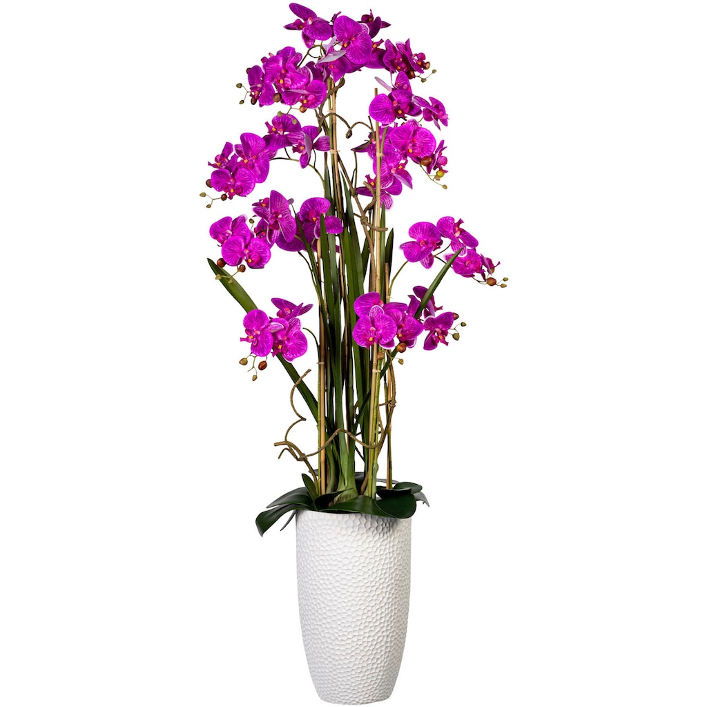 Creativ green Kunstorchidee »Deko-Orchidee Phalaenopsis XXL im Keramiktopf«