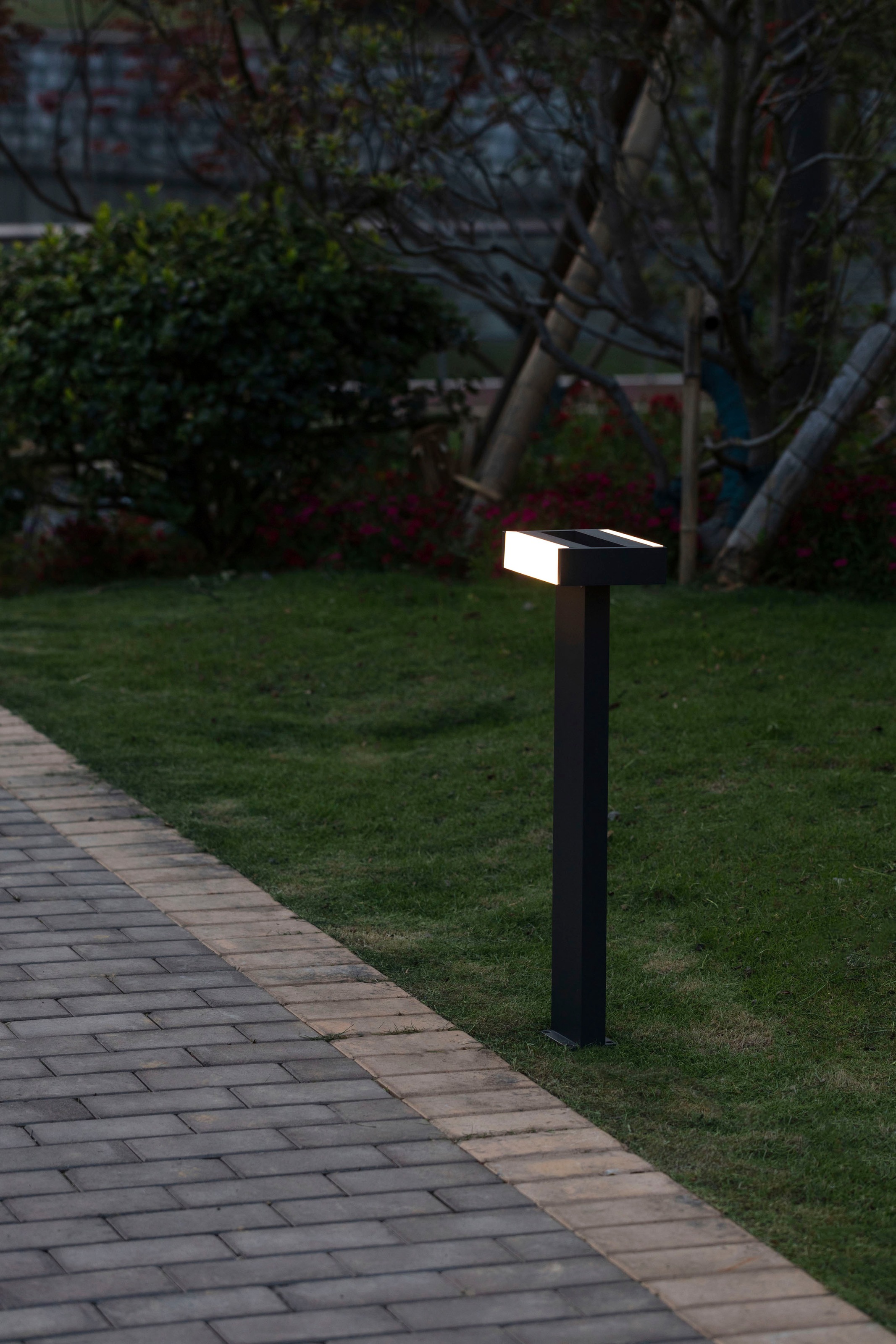 LUTEC LED Außen-Wandleuchte »CONROY«, Leuchtmittel LED-Modul | LED fest integriert, verstellbar