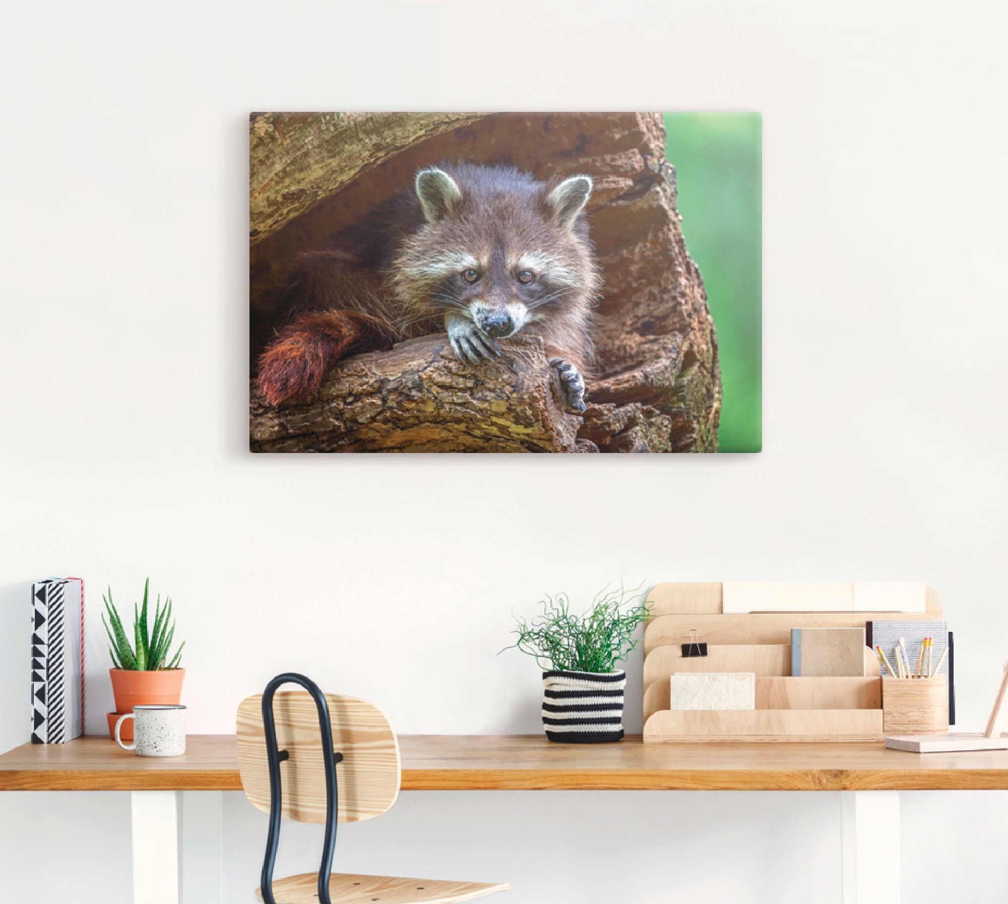 Artland Leinwandbild »Waschbär«, Wildtiere, (1 St.), auf Keilrahmen gespannt
