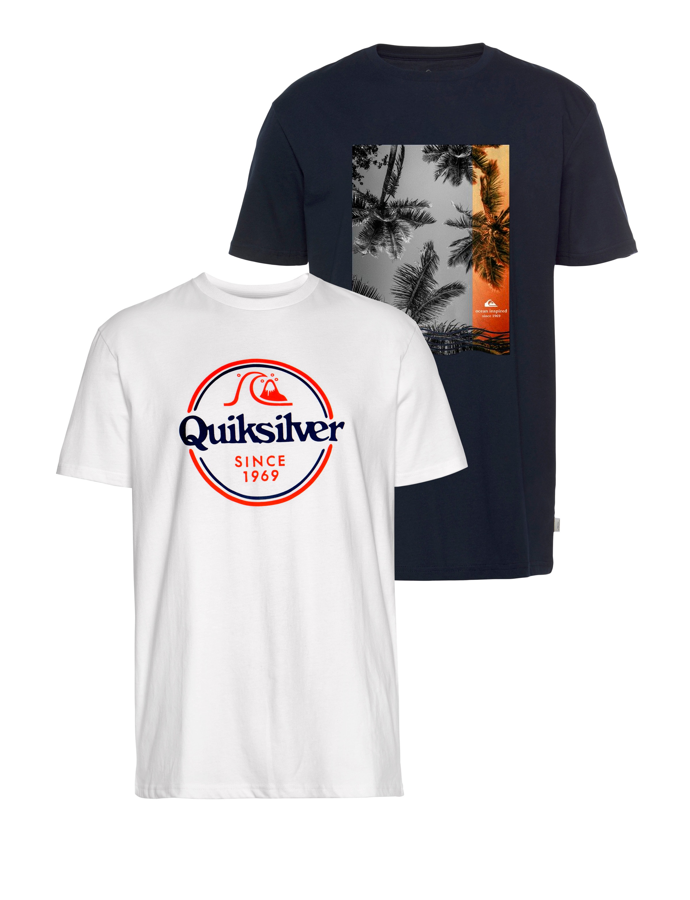 Quiksilver T-Shirt »REMAINS LIVES FLAXTON PACK«