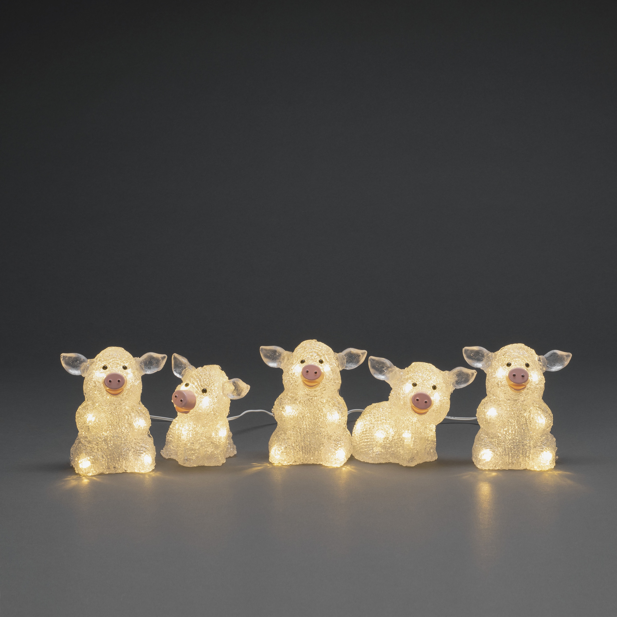KONSTSMIDE LED-Lichterkette »Schwein«, 40 St.-flammig, LED Acryl Schweine  5-er Set, transparent, 40 warm weiße Dioden bei OTTO