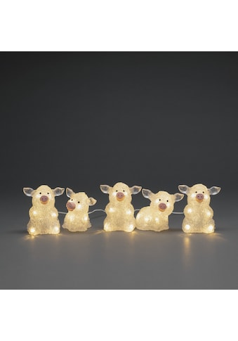 LED-Lichterkette »Schwein«, 40 St.-flammig