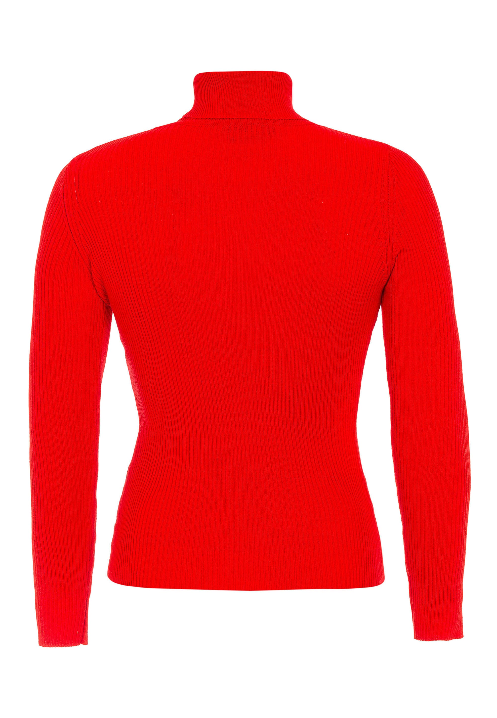 Cipo & Baxx Rollkragenpullover »WP227« Mit Rollkragen