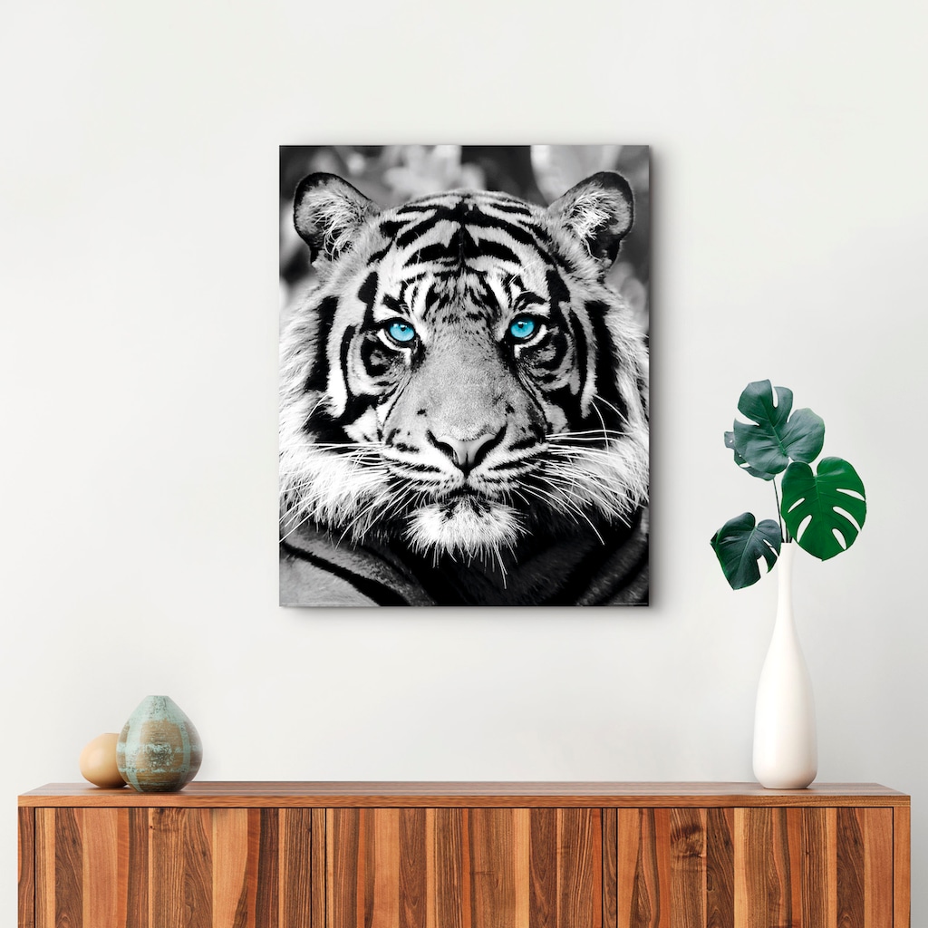 Reinders! Holzbild »Blue Eyed Tiger«, (1 St.)