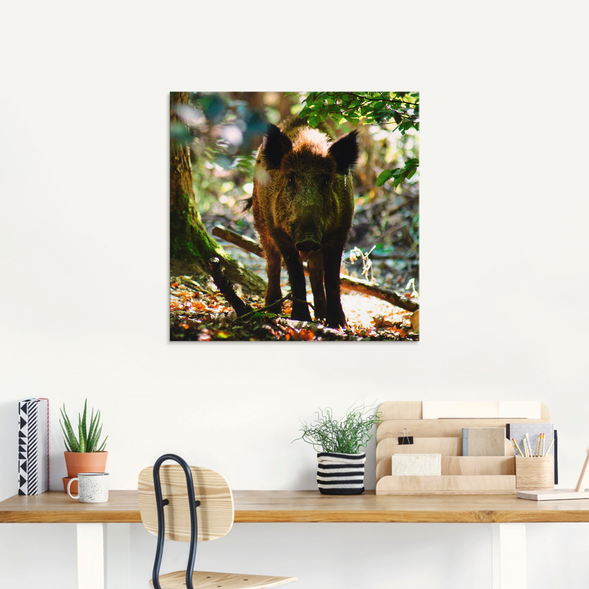 Artland Glasbild »Wildschwein«, Wildtiere, (1 St.), in verschiedenen Größen