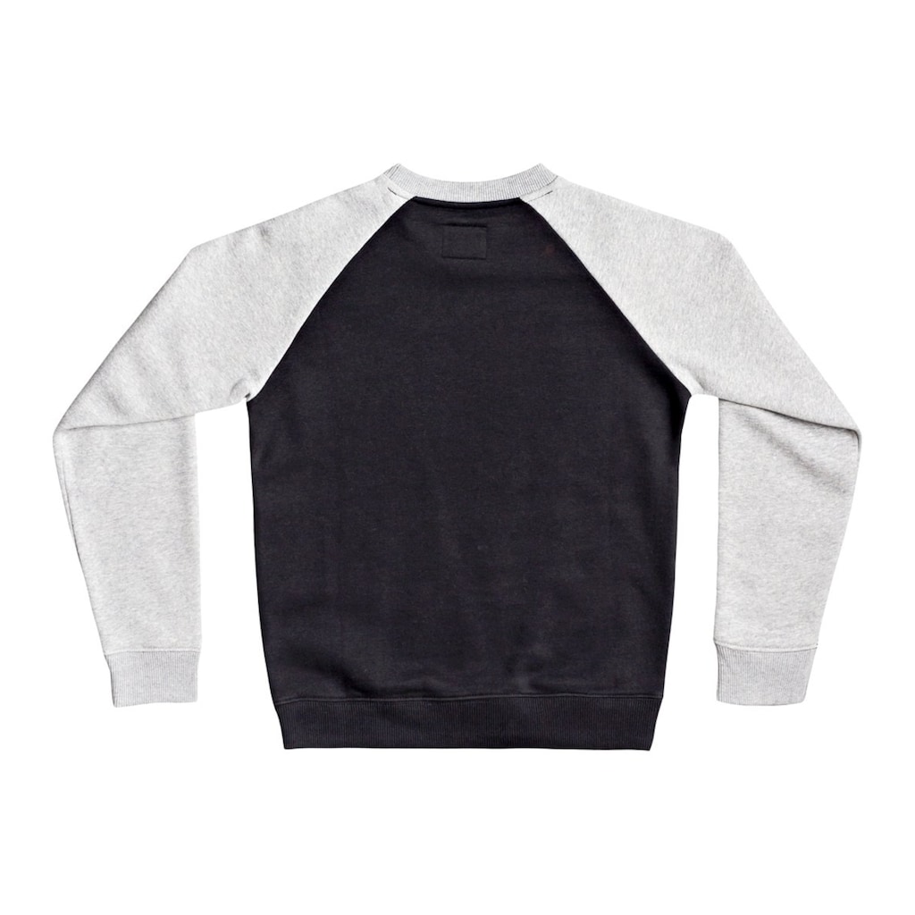 DC Shoes Sweatshirt »Star Pilot«