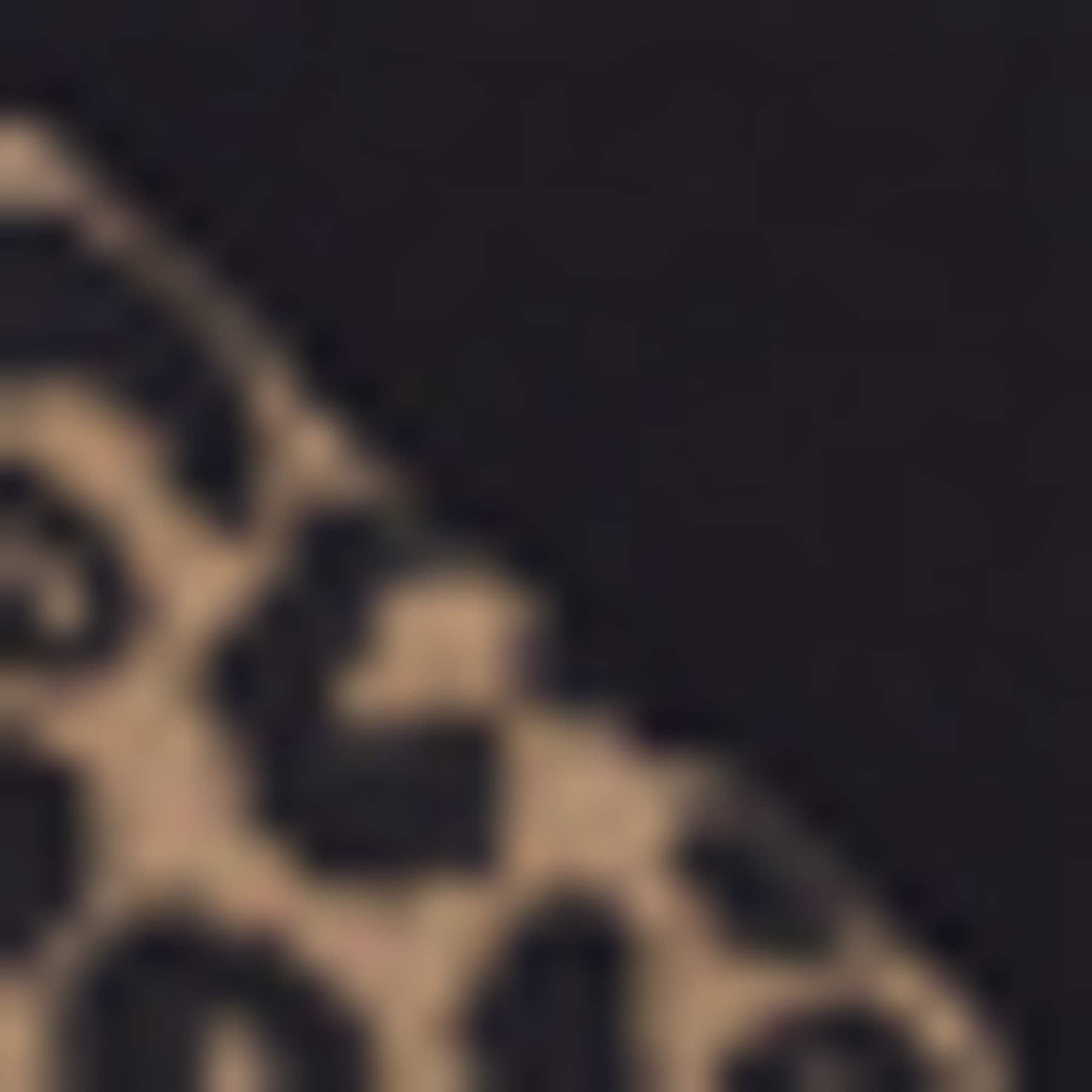 HUGO Underwear Sneakersocken »2P AS LEO LOGO« 2 Paar tlg. modisch, elastisch