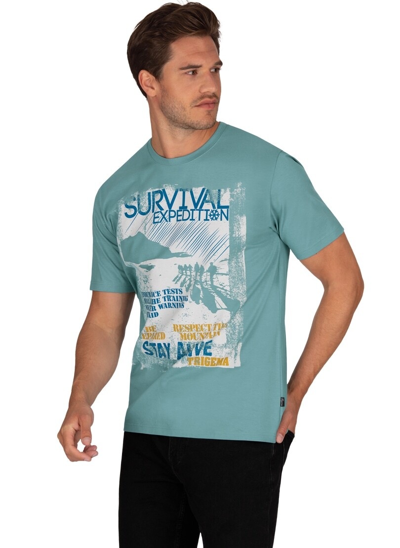 Print-Motiv« online T-Shirt mit großem »TRIGEMA T-Shirt Trigema shoppen bei OTTO