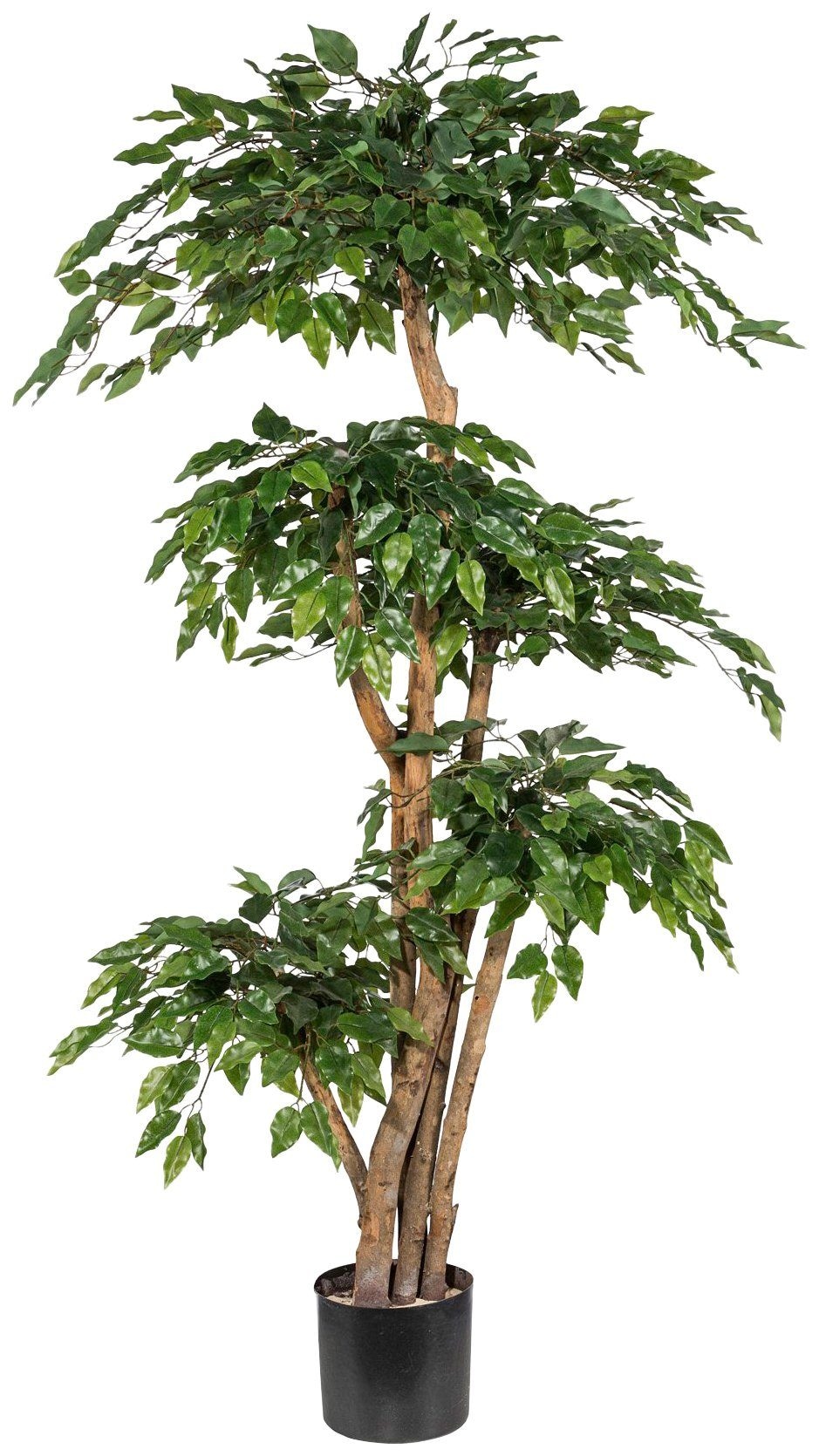 Creativ green Kunstpflanze »Ficus Benjamini«, bei St.) (1 OTTO
