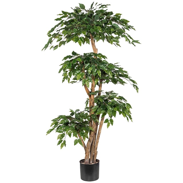Creativ green Kunstpflanze »Ficus Benjamini«, (1 St.) bei OTTO