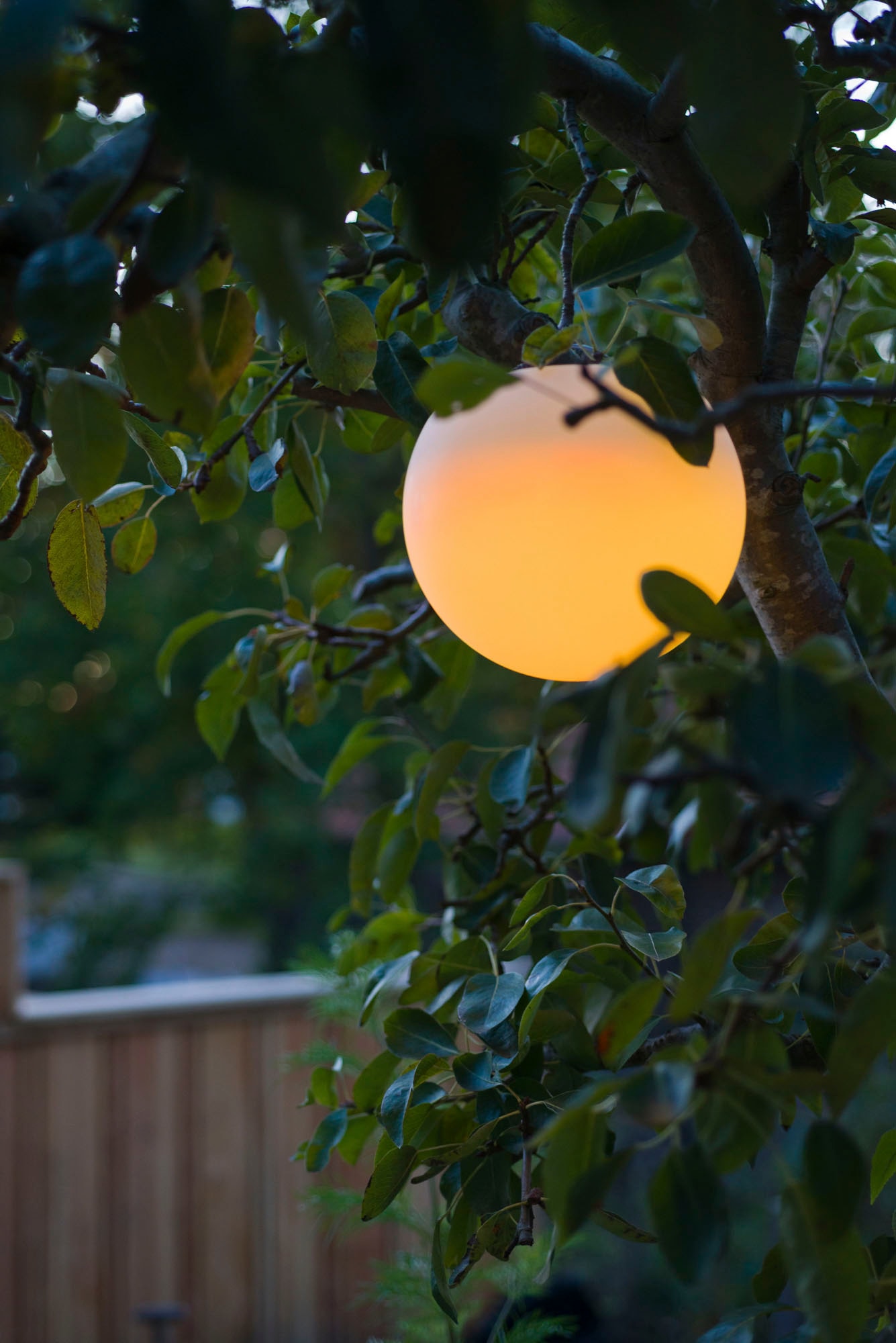 Ubbink LED Gartenleuchte »MultiBright Solar Float 20«, für Garten, Teich oder Pool