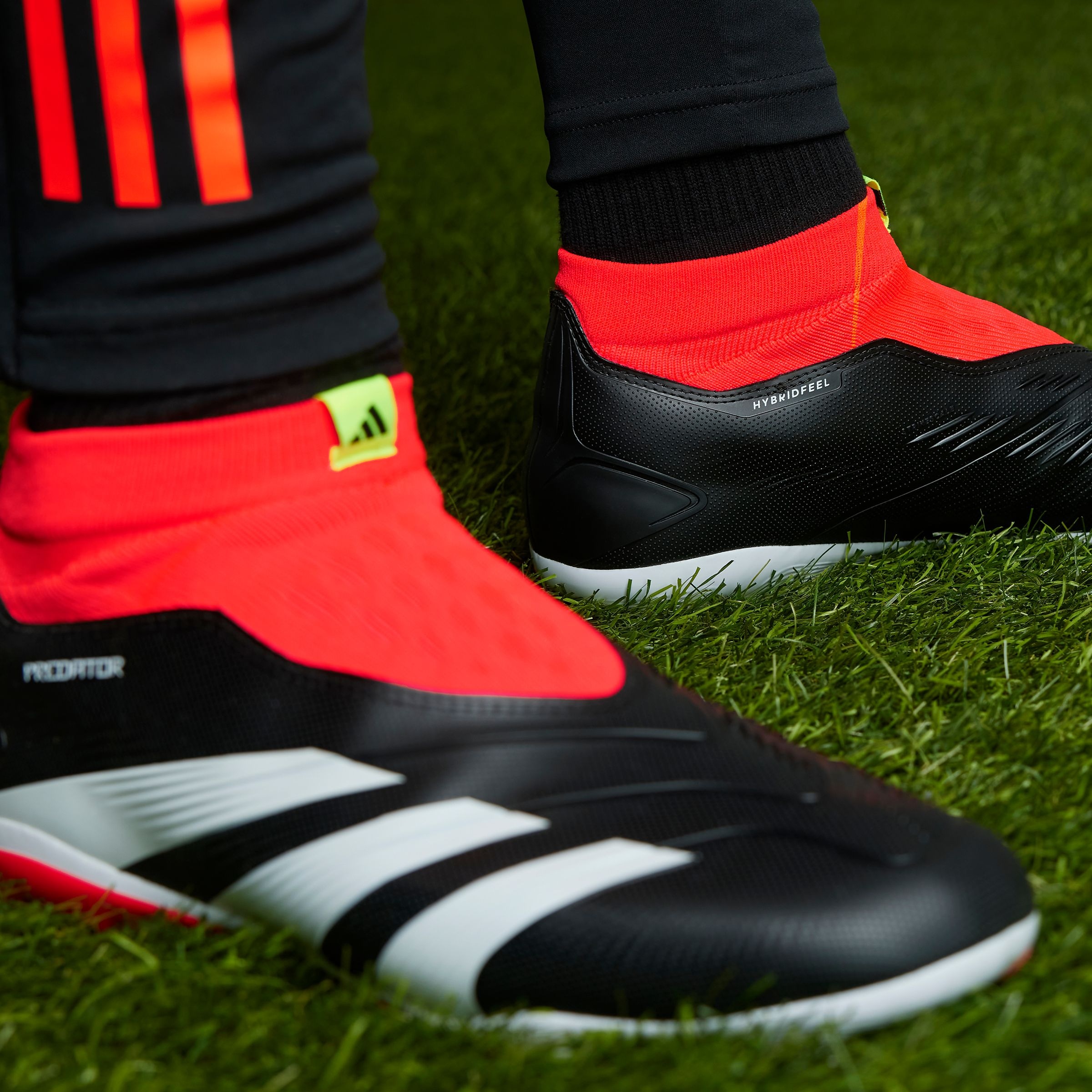 adidas Performance Fußballschuh »PREDATOR LEAGUE LACELESS FG«, für Rasenplätze