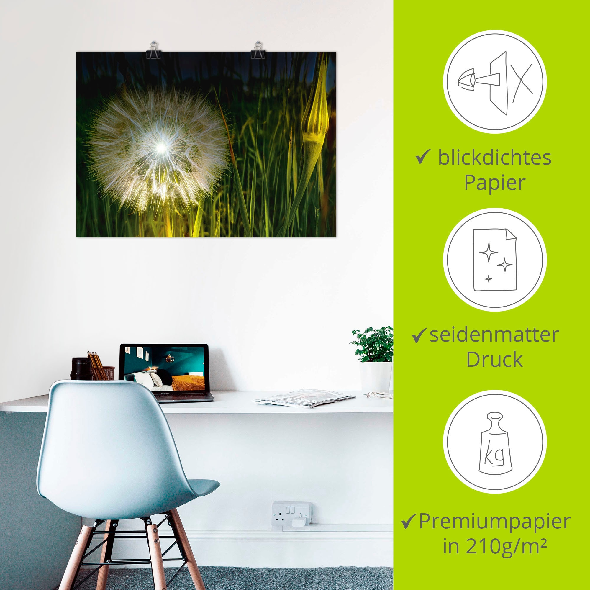 Artland Wandbild »Pusteblume Nachts beleuchtet.«, Blumenbilder, (1 St.), als Alubild, Leinwandbild, Wandaufkleber oder Poster in versch. Größen