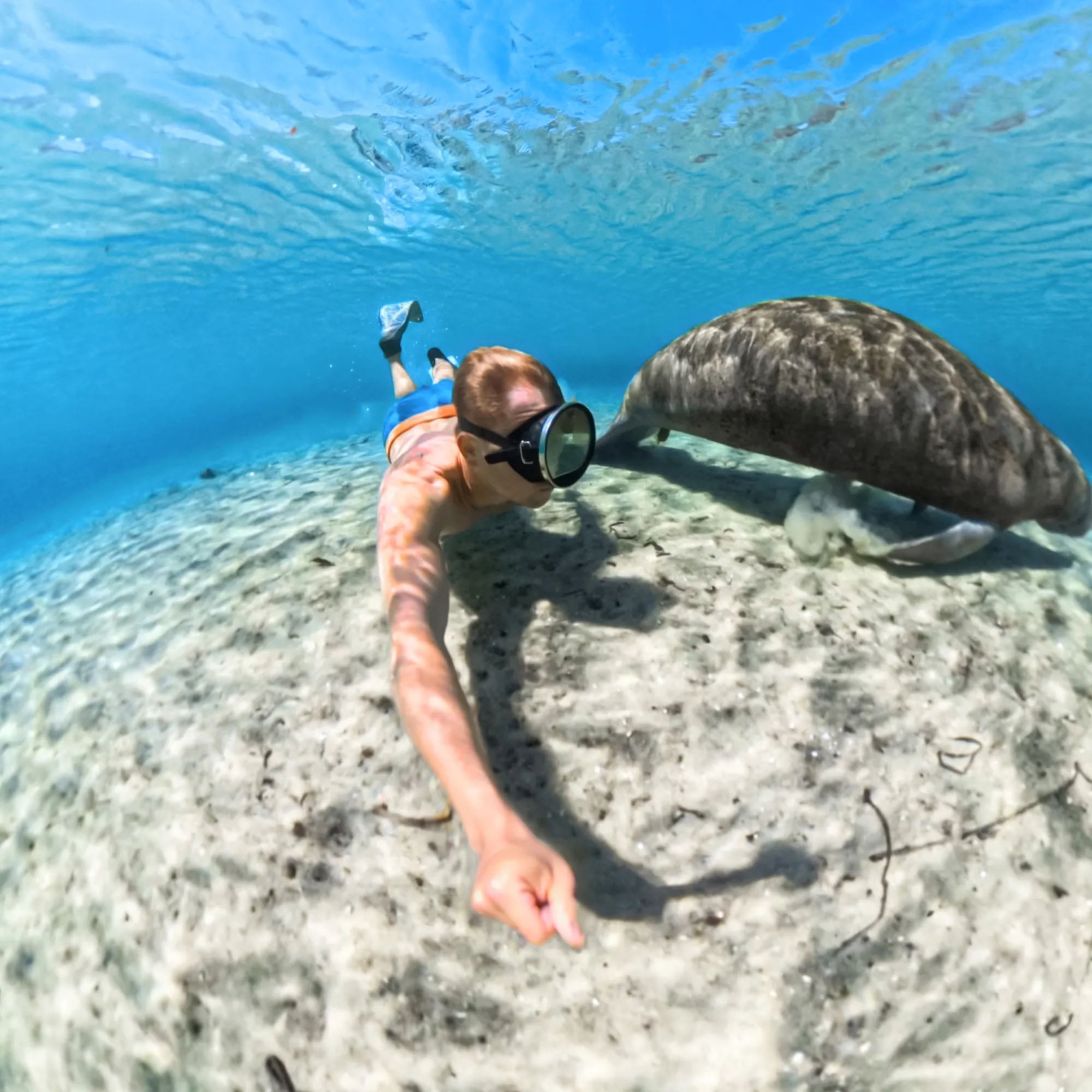 Insta360 Unterwassergehäuse »X5 Unsichtbares Tauchgehäuse«