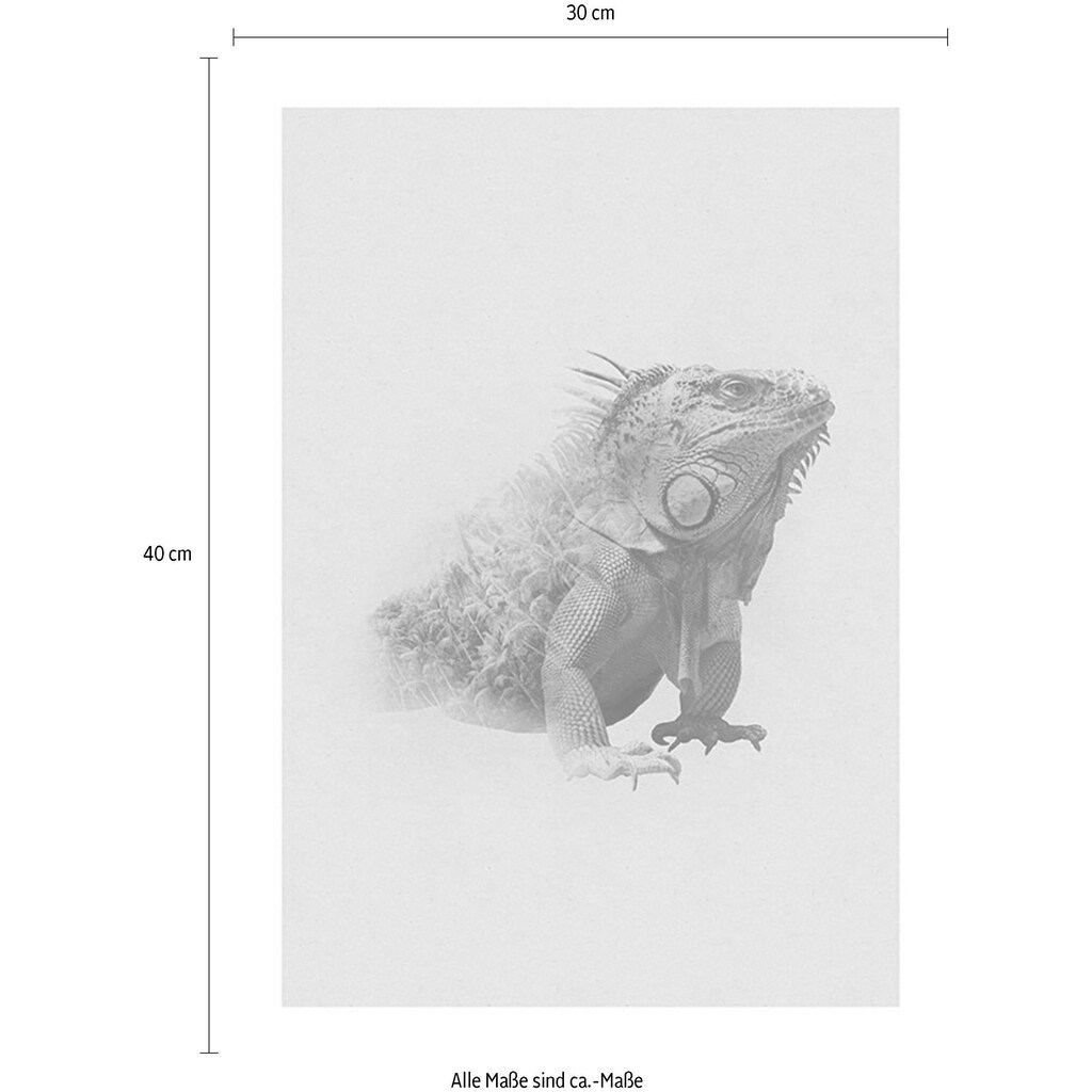 Komar Poster »Animals Paradise Iguana«, Tiere, (1 St.)