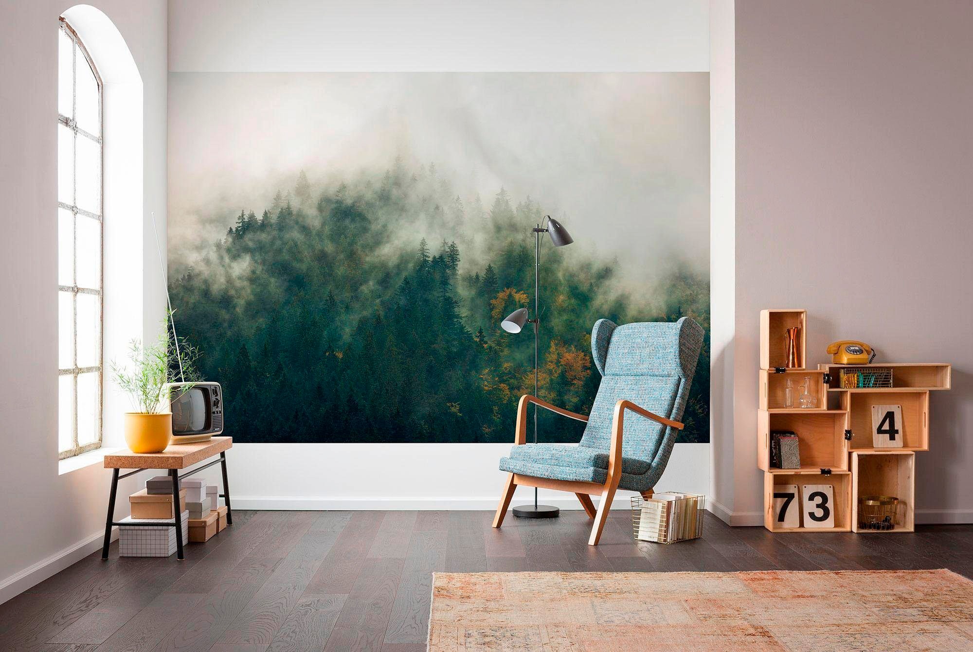 Komar Vliestapete (Breite x Höhe), Vliestapete, 100 cm Bahnbreite