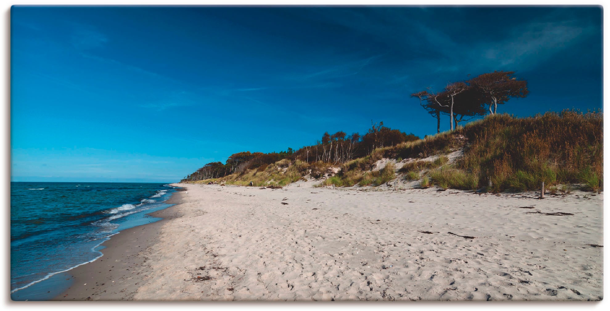 Artland Wandbild »Am Weststrand- Ostsee - Darss«, Strand, (1 St.), als Leinwandbild in verschied. Größen