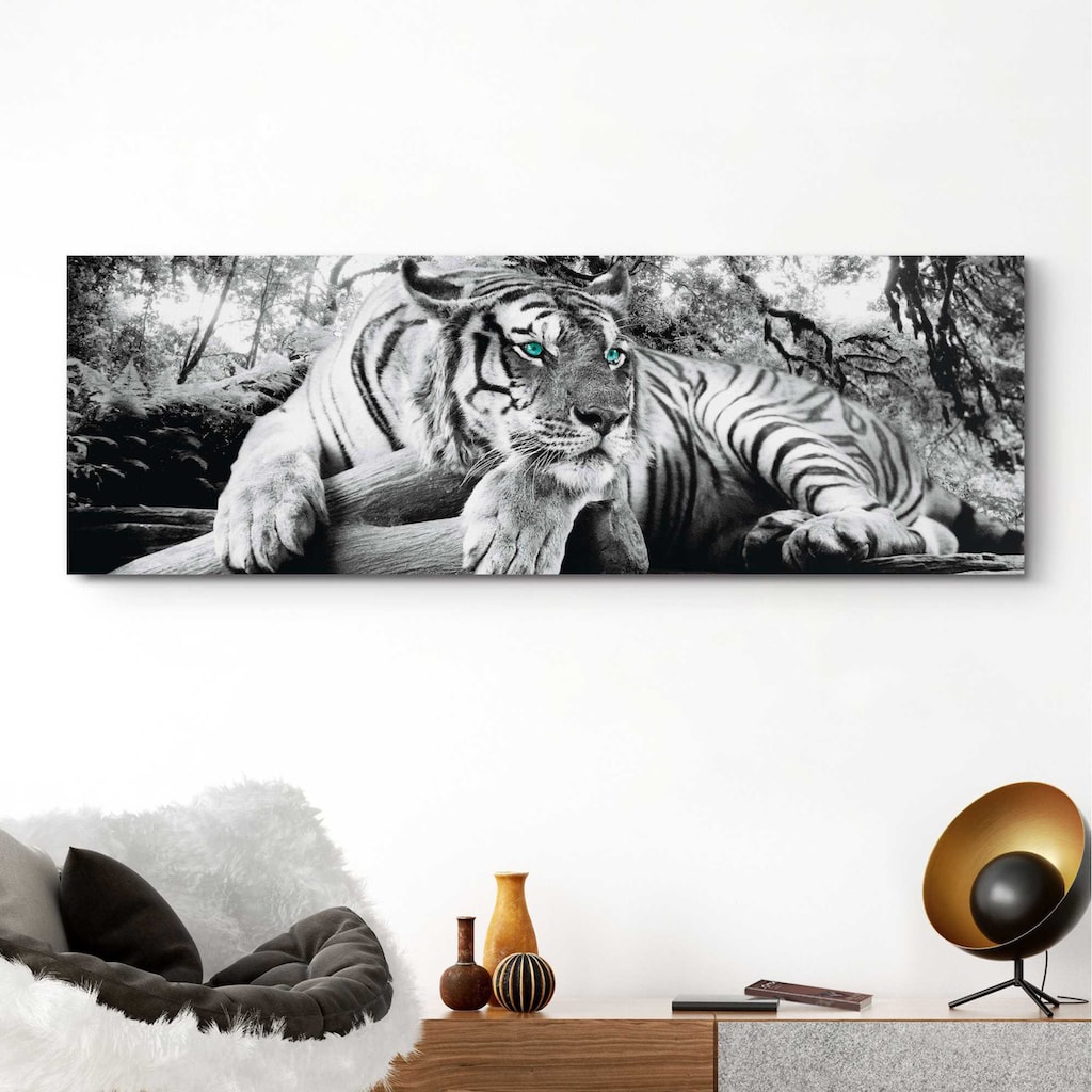 Home affaire Deco-Panel »Tiger guckt dich an«