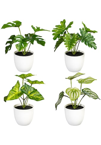 Creativ green Künstliche Zimmerpflanze »Grünpflanzen-Mix«, (4 St.), im 4er Set kaufen