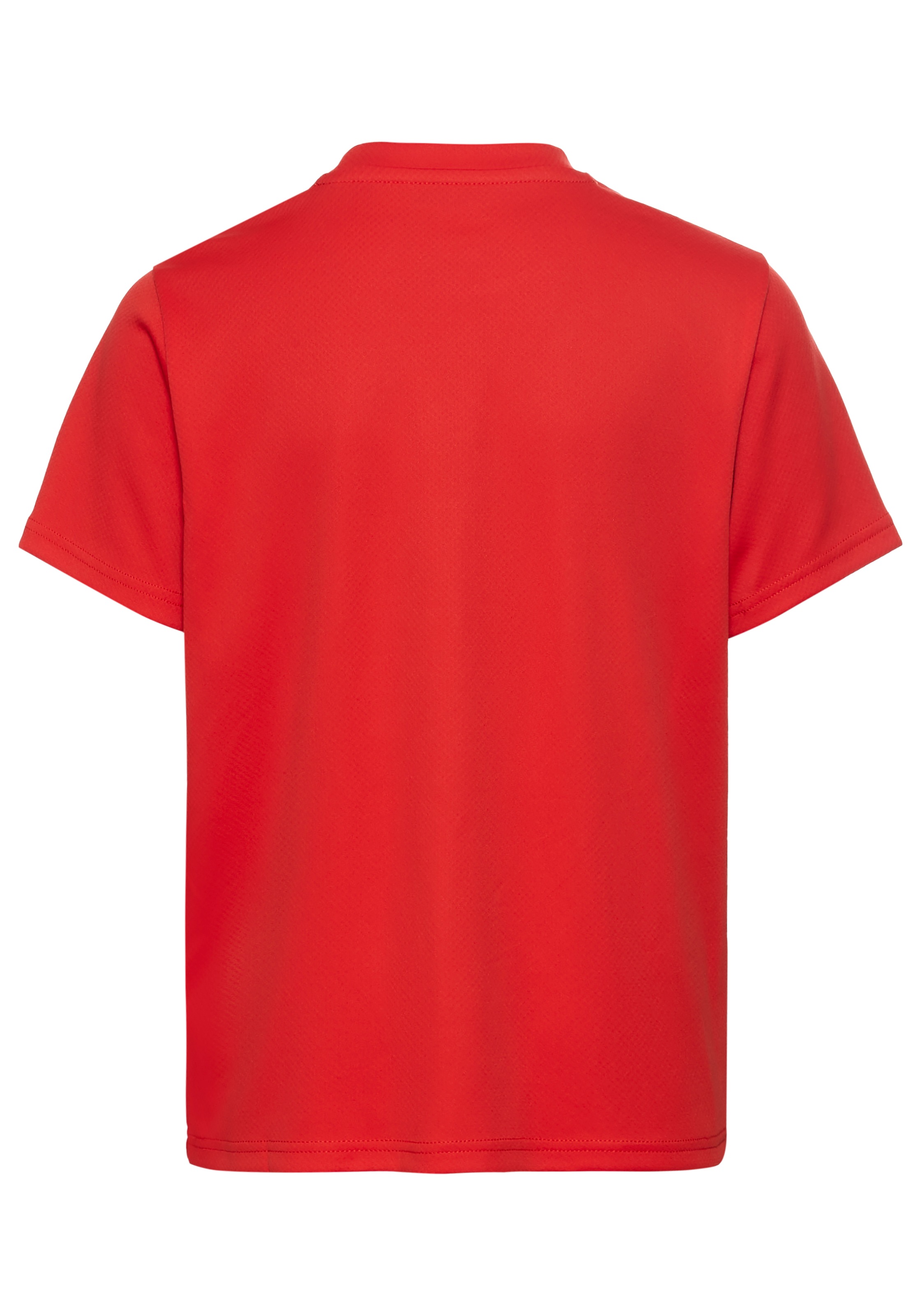 PUMA Trainingstop »TEAMGOAL JERSEY JR«