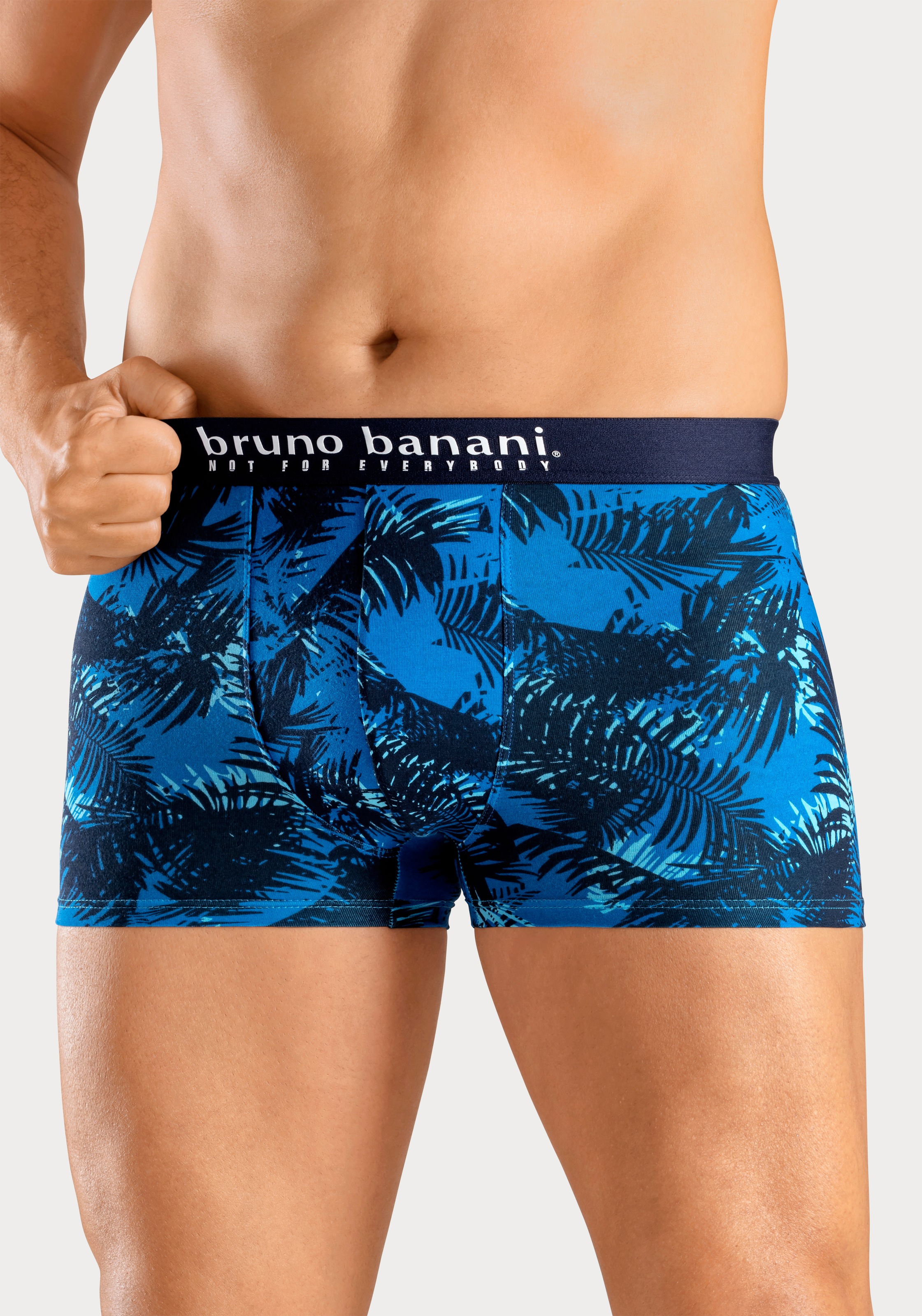 Bruno Banani Boxer »Boxershorts für Herren«, (Packung, 4 St., 4er-Pack), mit Palmendruck und unifarben aus Baumwollmischung