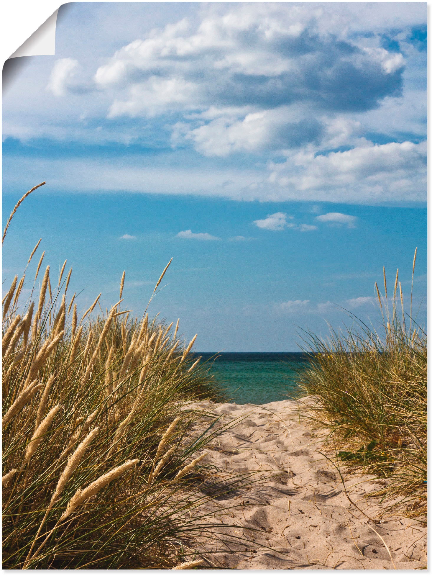 Artland Wandbild »Strandzugang an der Ostsee (1 Leinwandbild, Alubild, oder Strand, in Dänemark Wandaufkleber im - Shop 9«, als versch. OTTO St.), Größen Poster Online