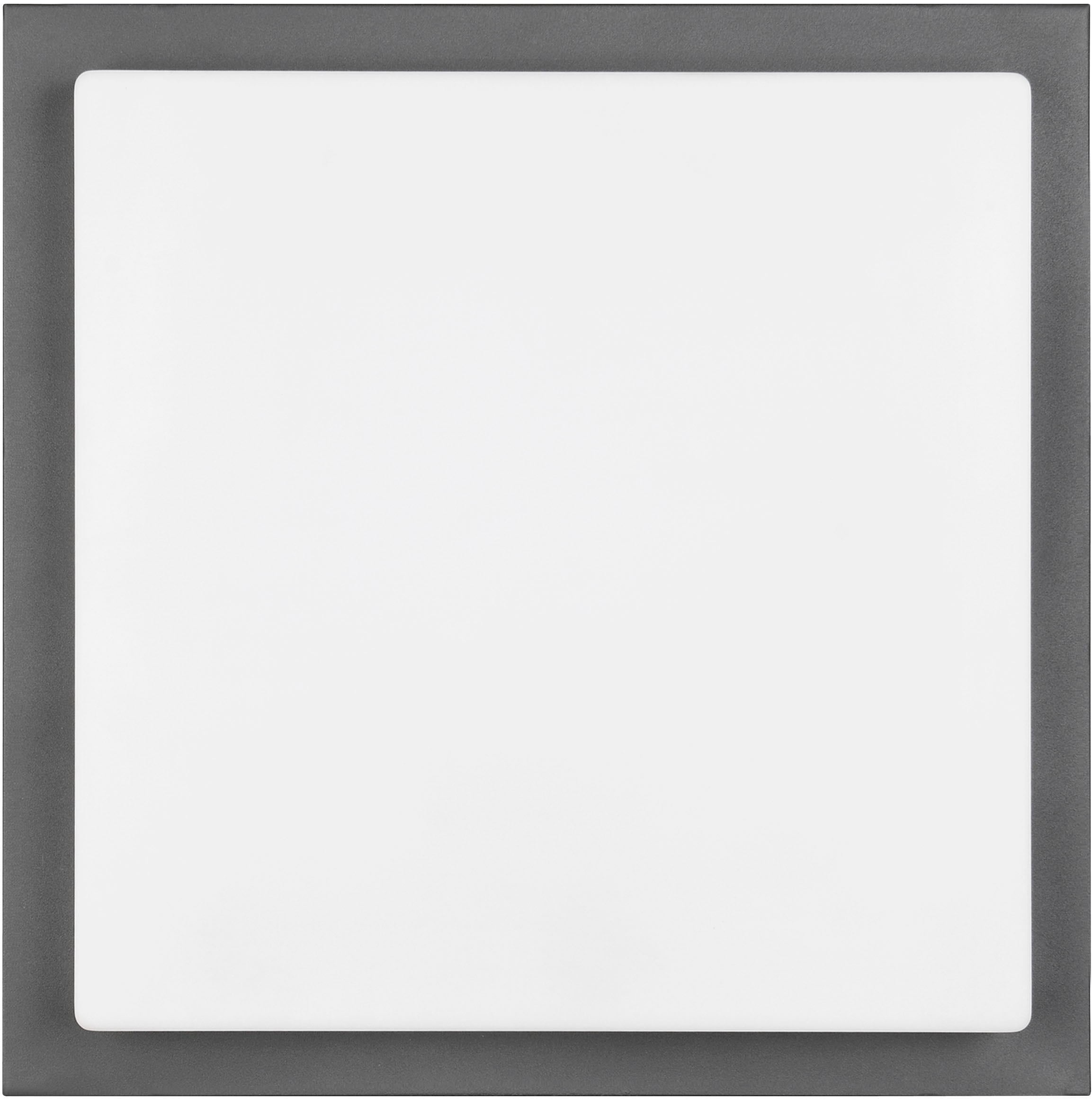 TRIO Leuchten LED Außen-Wandleuchte »BERMEJO, Hausnummer Leuchte mit Bewegungsmelder IP54 Fassadenleuchte« LED-Board 1 Stk. Farbwechsler | warmweiß - kaltweiß CCT Lichtfarbe einstellbar 2300-4000K, 1450 Lumen 14W Ø 30cm