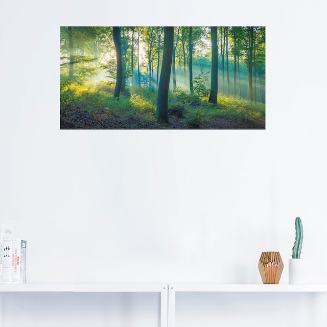 Artland Wandbild »Wald Panorama«, Waldbilder, (1 St.), als Alubild,  Leinwandbild, Wandaufkleber oder Poster in versch. Größen bei OTTO