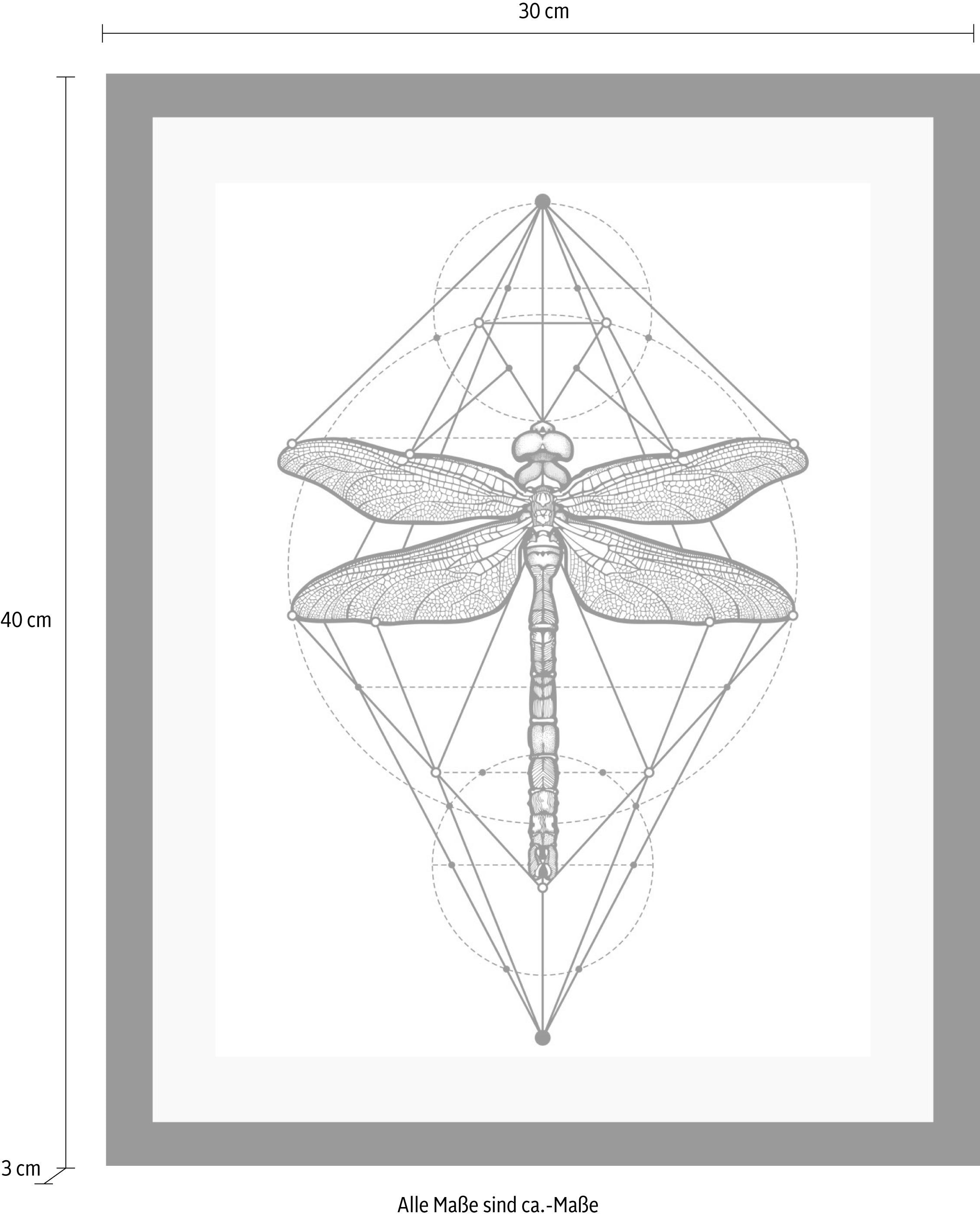 queence Bild »Libelle« Insekten | Kunst | Schwarz-Weiß | Tiere HD Premium Poster-Druck inkl. Holzrahmen
