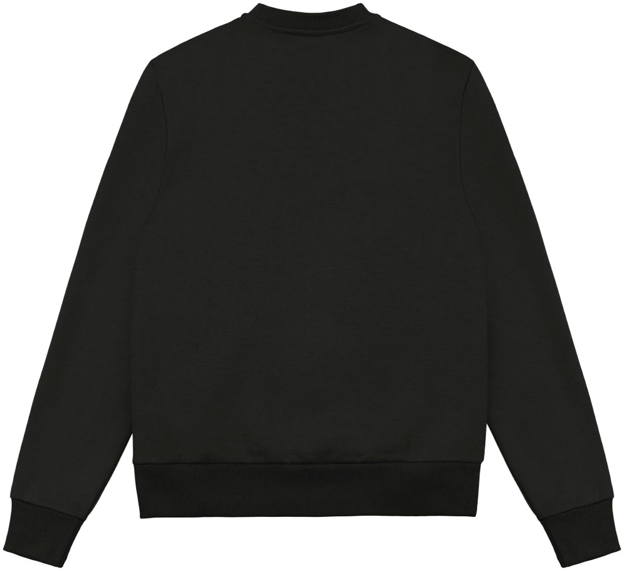 Colmar Sweatshirt »MENS SWEATSHIRT«, regular fit, Rundhalsausschnitt