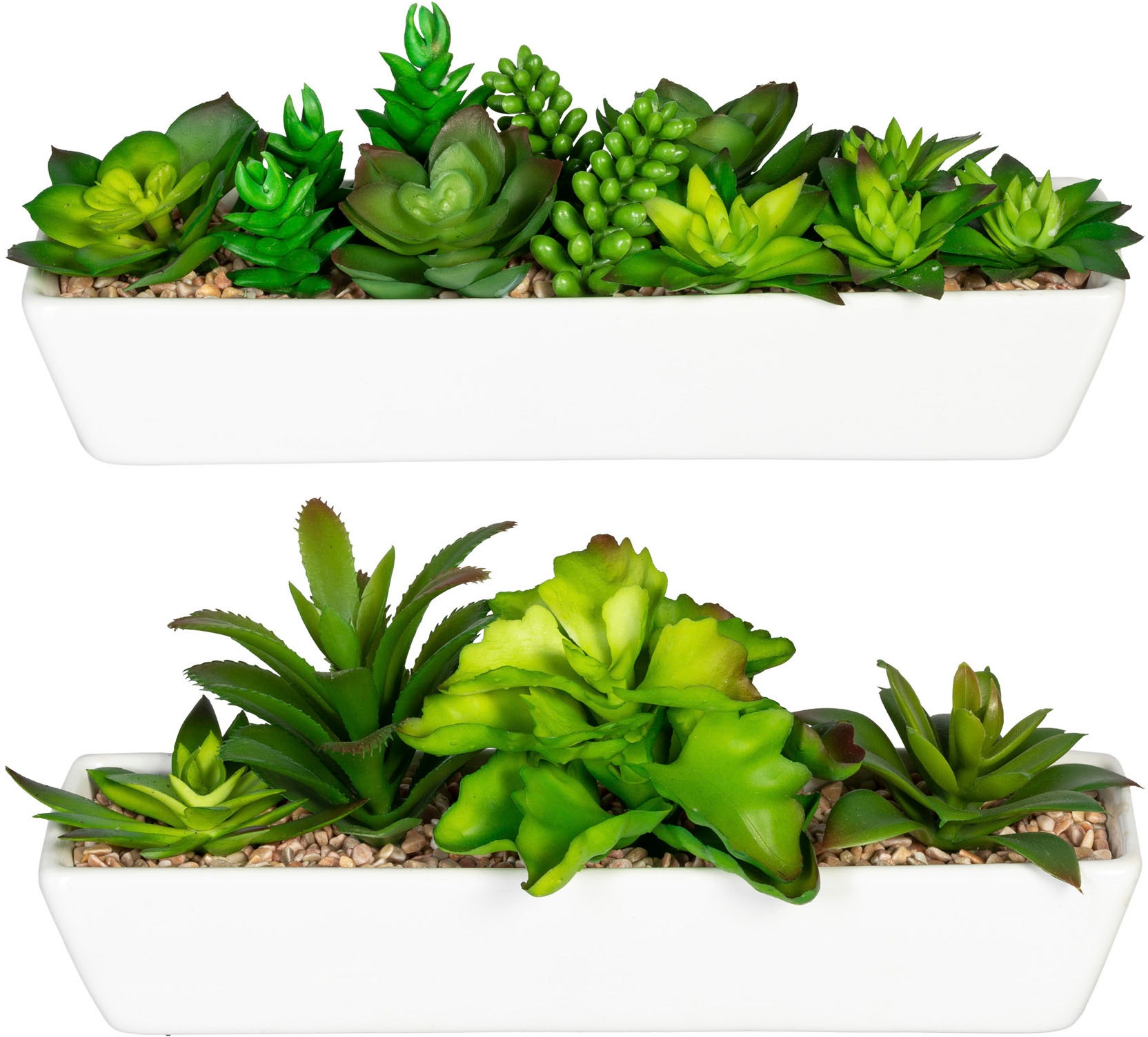 Creativ green Künstliche Zimmerpflanze »Sukkulentenarrangement«, im Keramikkasten, 2er Set