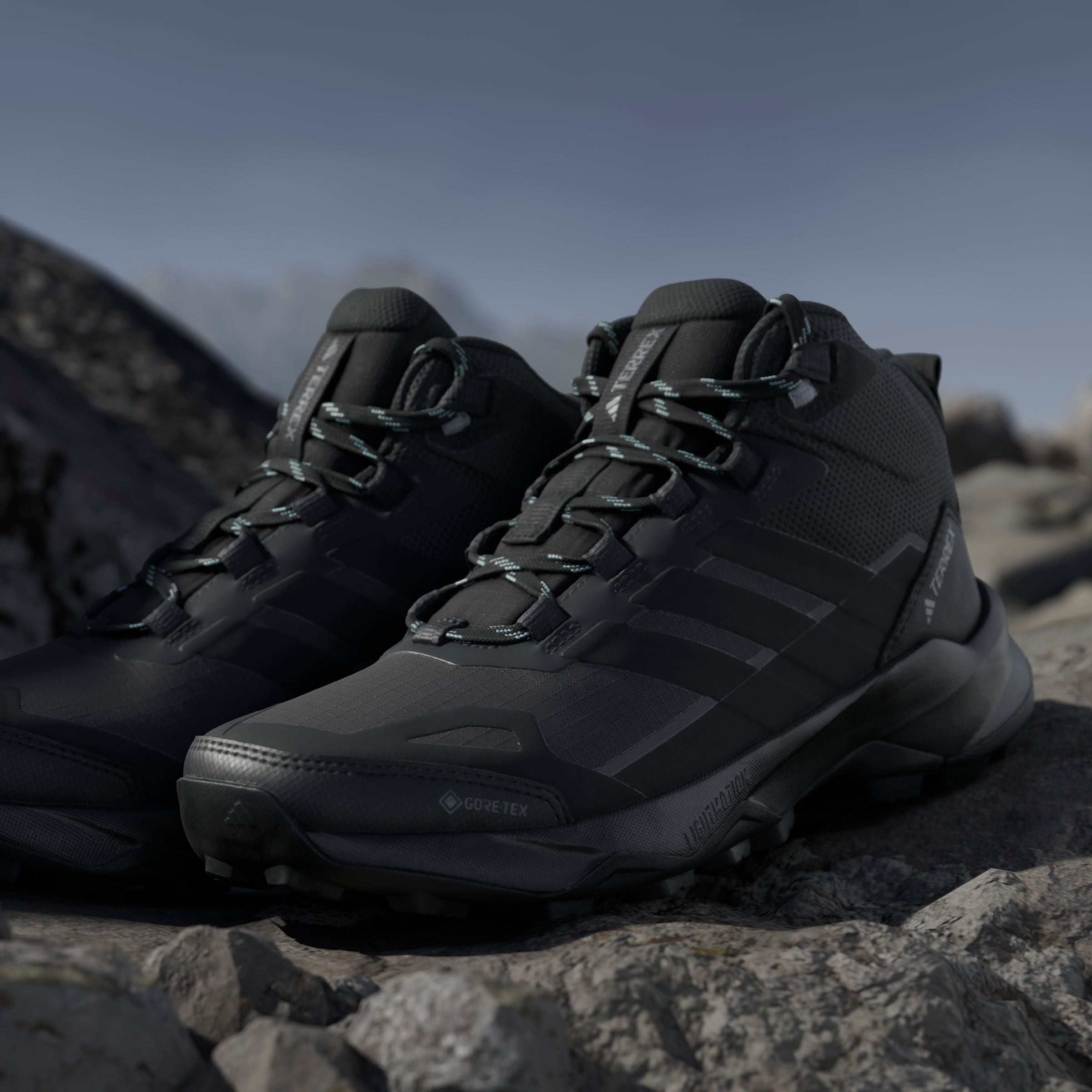 adidas TERREX Wanderschuh »TERREX SKYCHASER AX5 MID GORE-TEX E«  wasserdicht