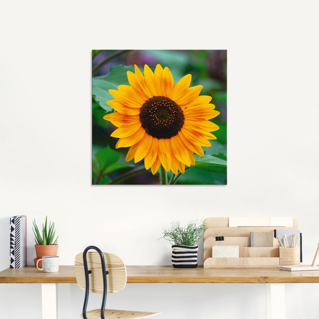 Artland Glasbild »Sonnenblume«, Blumen, (1 St.)