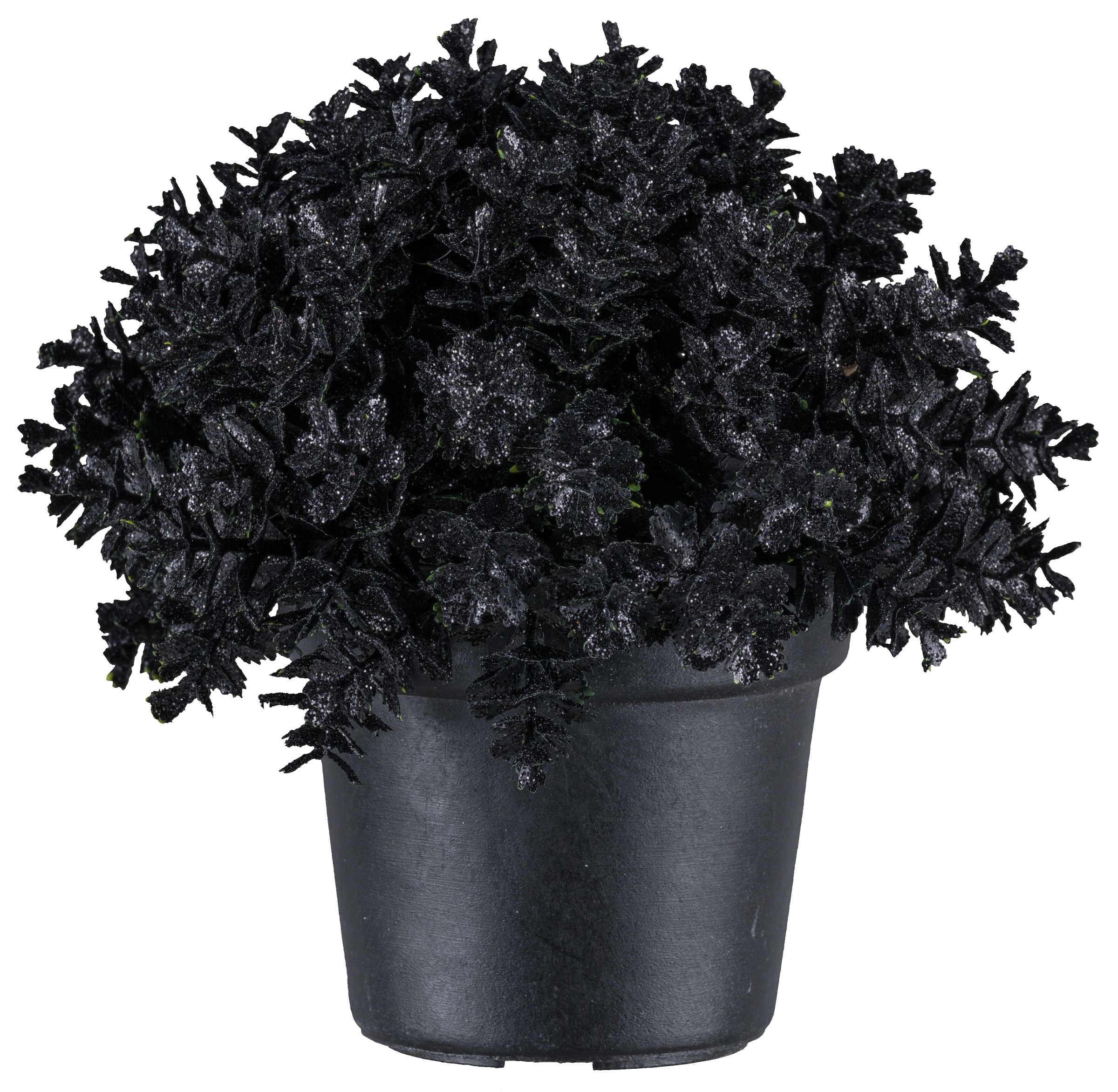 Creativ green Kunstpflanze »Eukalyptus«, in Kugelform