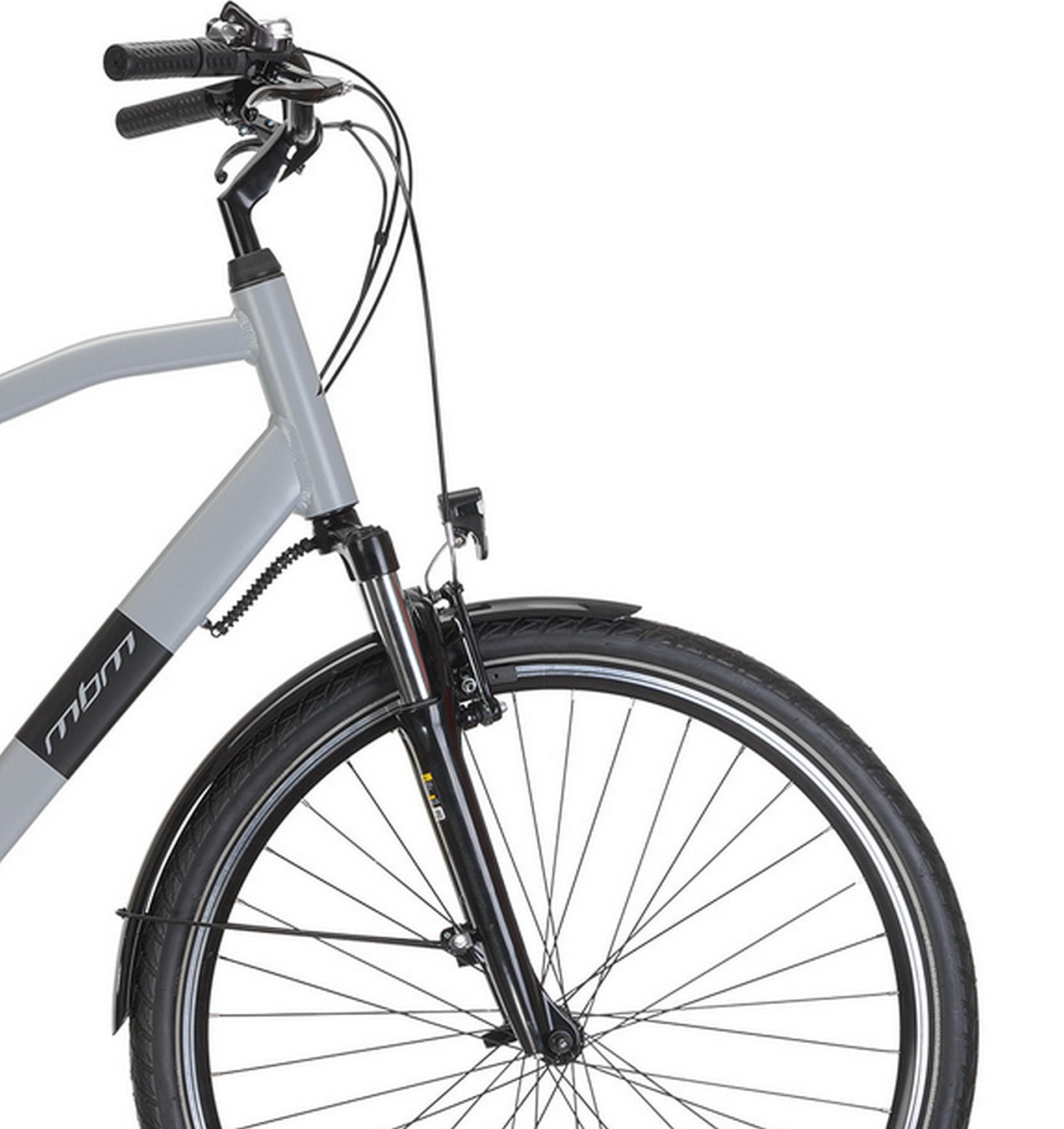 MBM »Elektro-Citybike RHEA  MAN 28 Zoll, grey«
