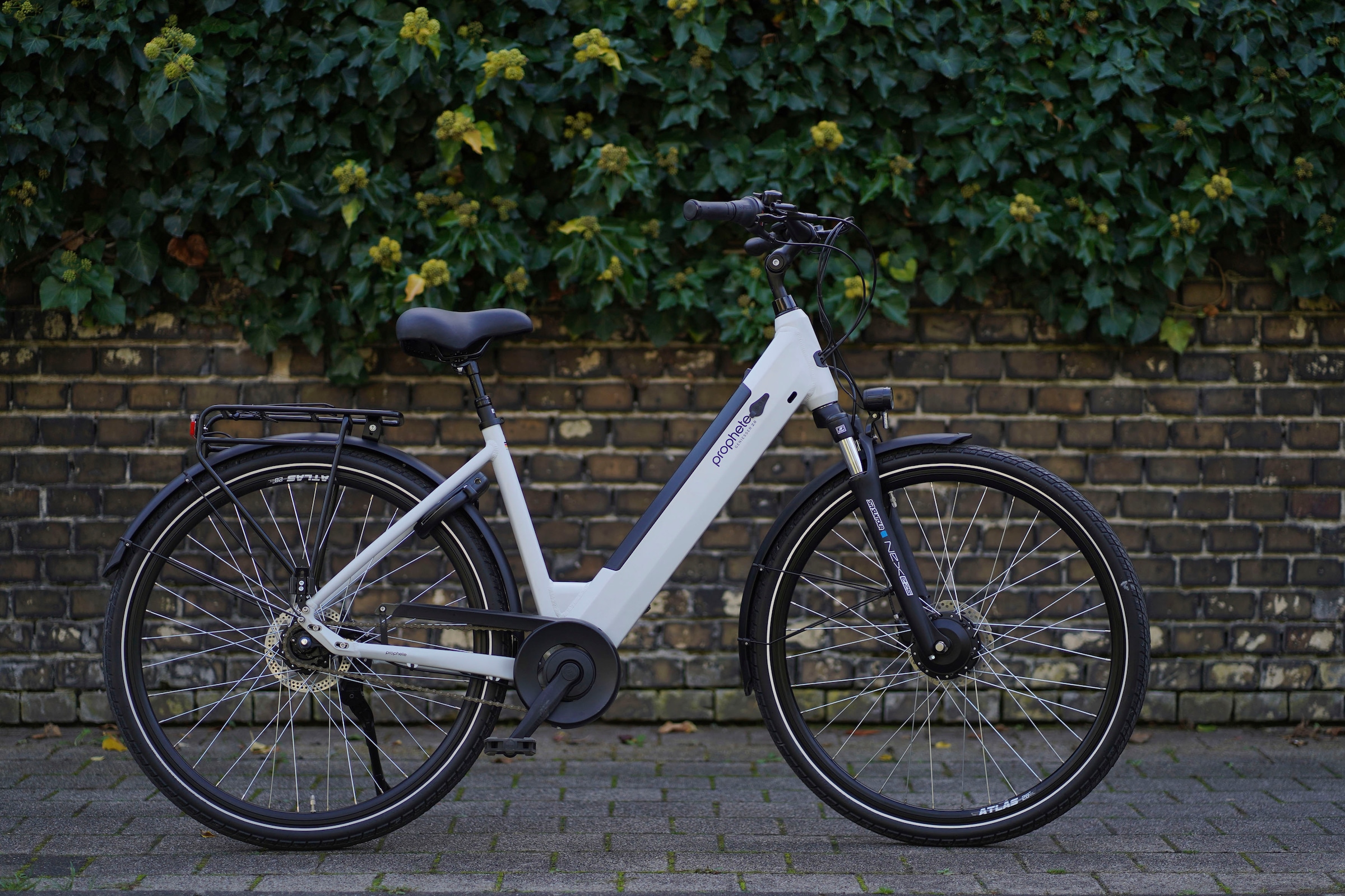 Prophete E-Bike »Geniesser 2.0«, 7 Gang, Shimano, Nexus, Frontmotor 250 W, Pedelec, Elektrofahrrad für Damen, Cityrad, inkl. Rahmenschloss