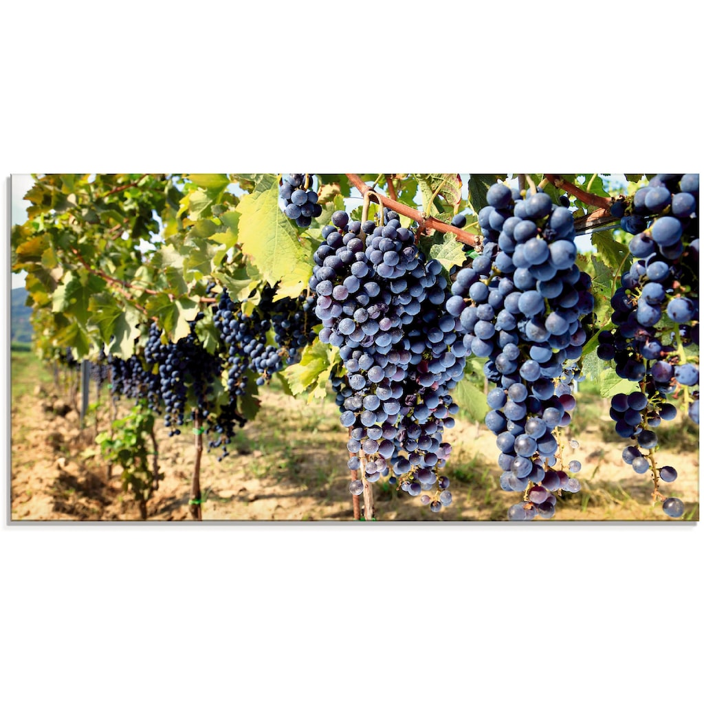 Artland Glasbild »Toskanische Weintrauben«, Süßspeisen, (1 St.)